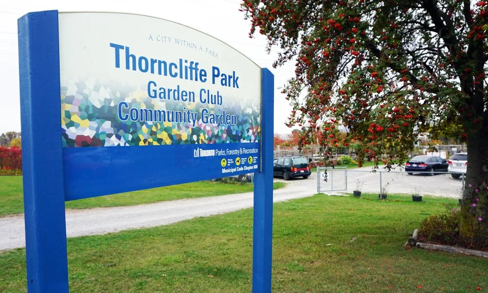 Thorncliffe: All Candidates Meeting