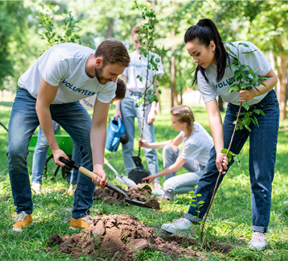 Tree Planting with City of Toronto at Anewen Greenbelt