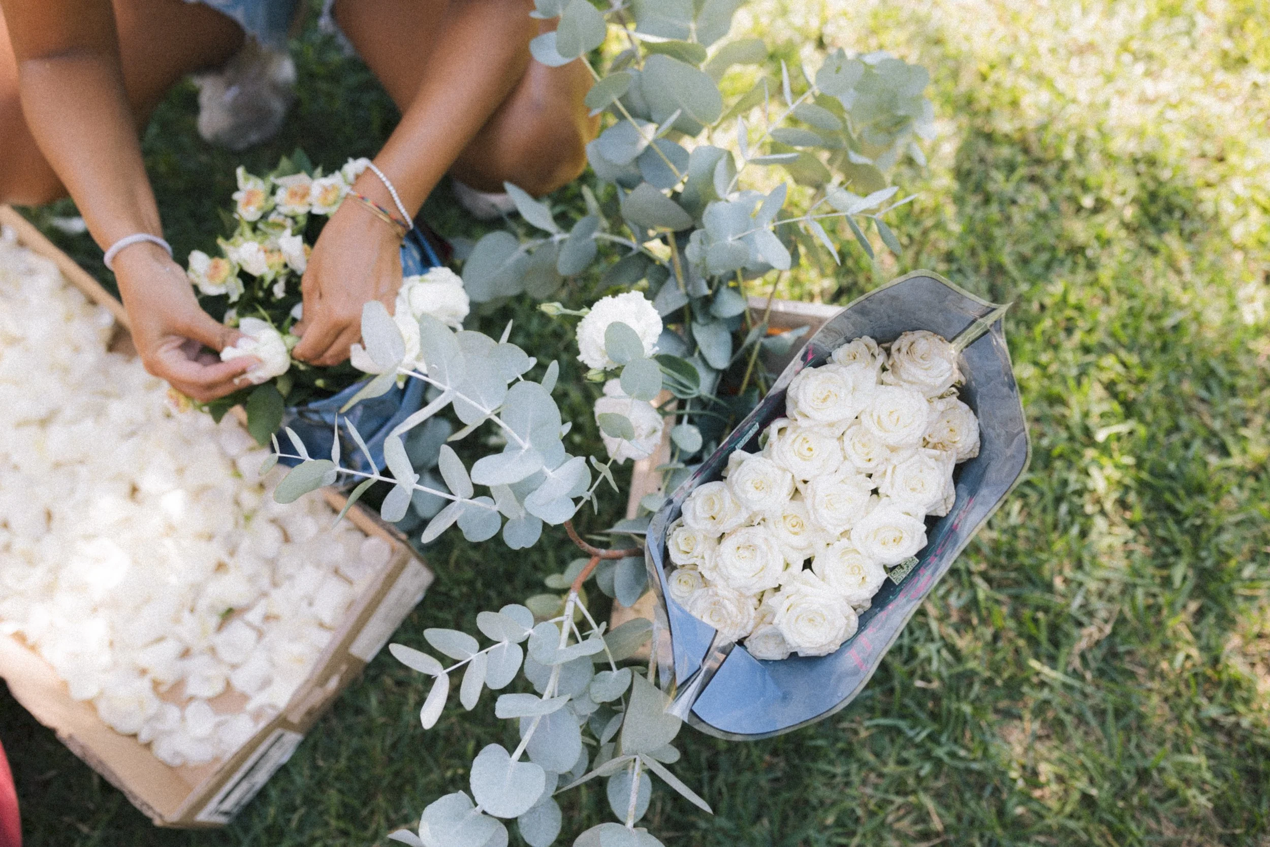 A person arranging white roses and grey-green eucalyptus leaves for a floral arrangement outdoors, with a bouquet of white roses nearby.
