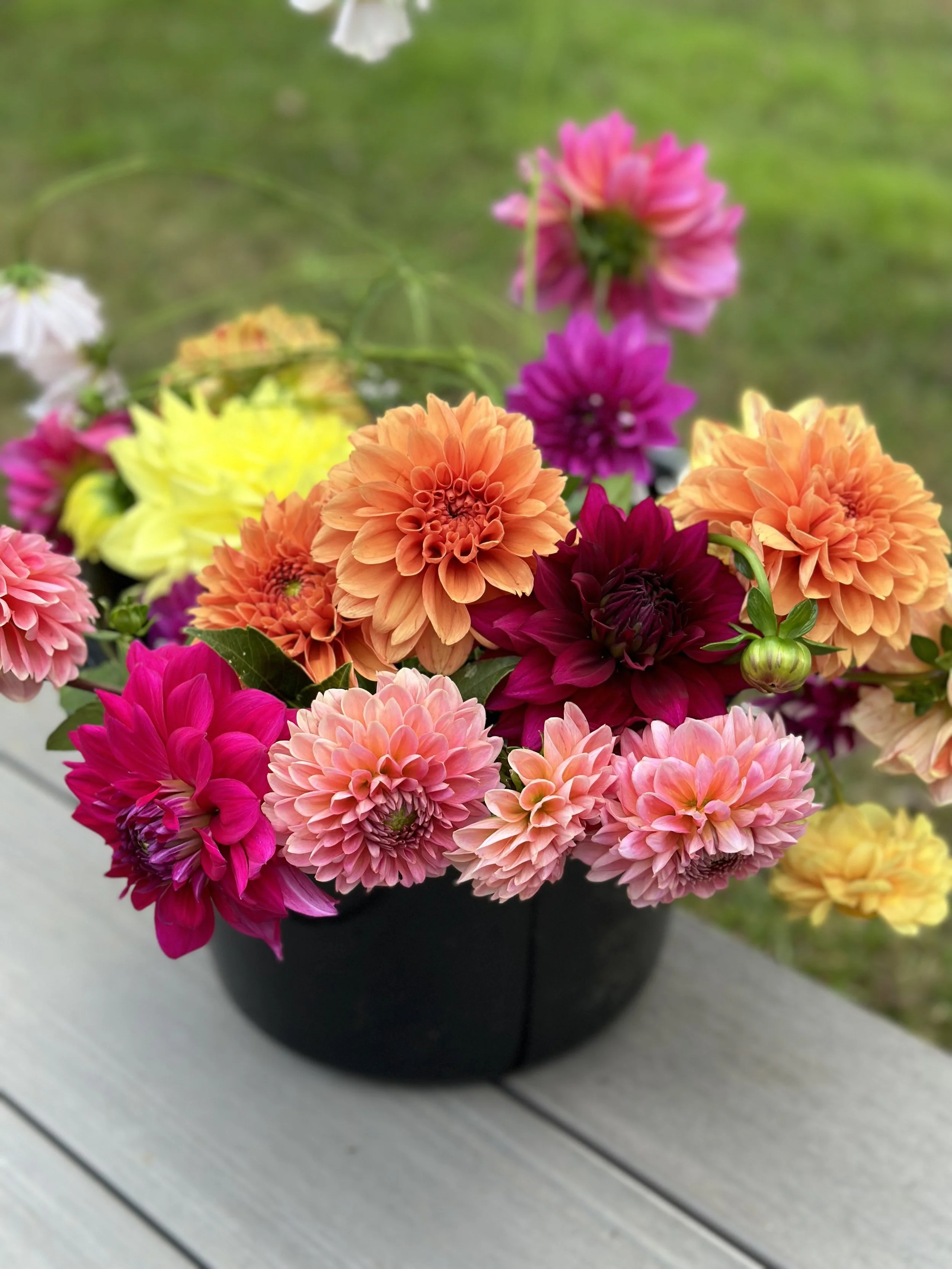 1BD1D93F-47D0-45D4-A0F3-44C73F903DD7_L0_001-5_18_2024, 11_42_42 AM.jpg