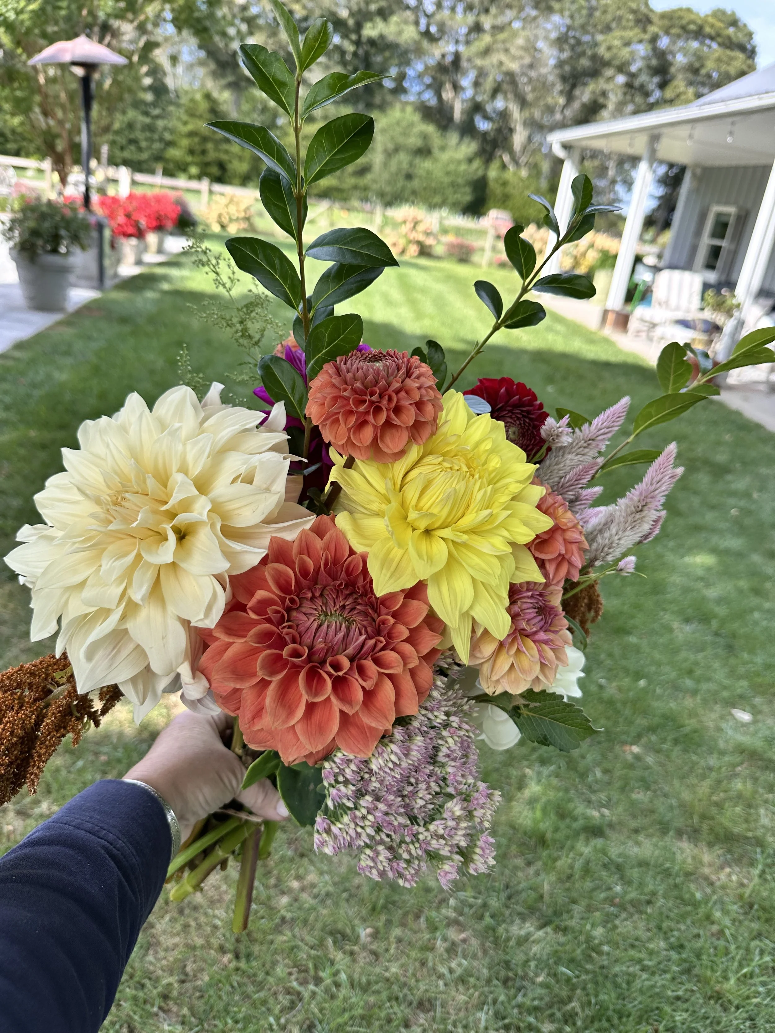 Gift a Weekly Flower Subscription