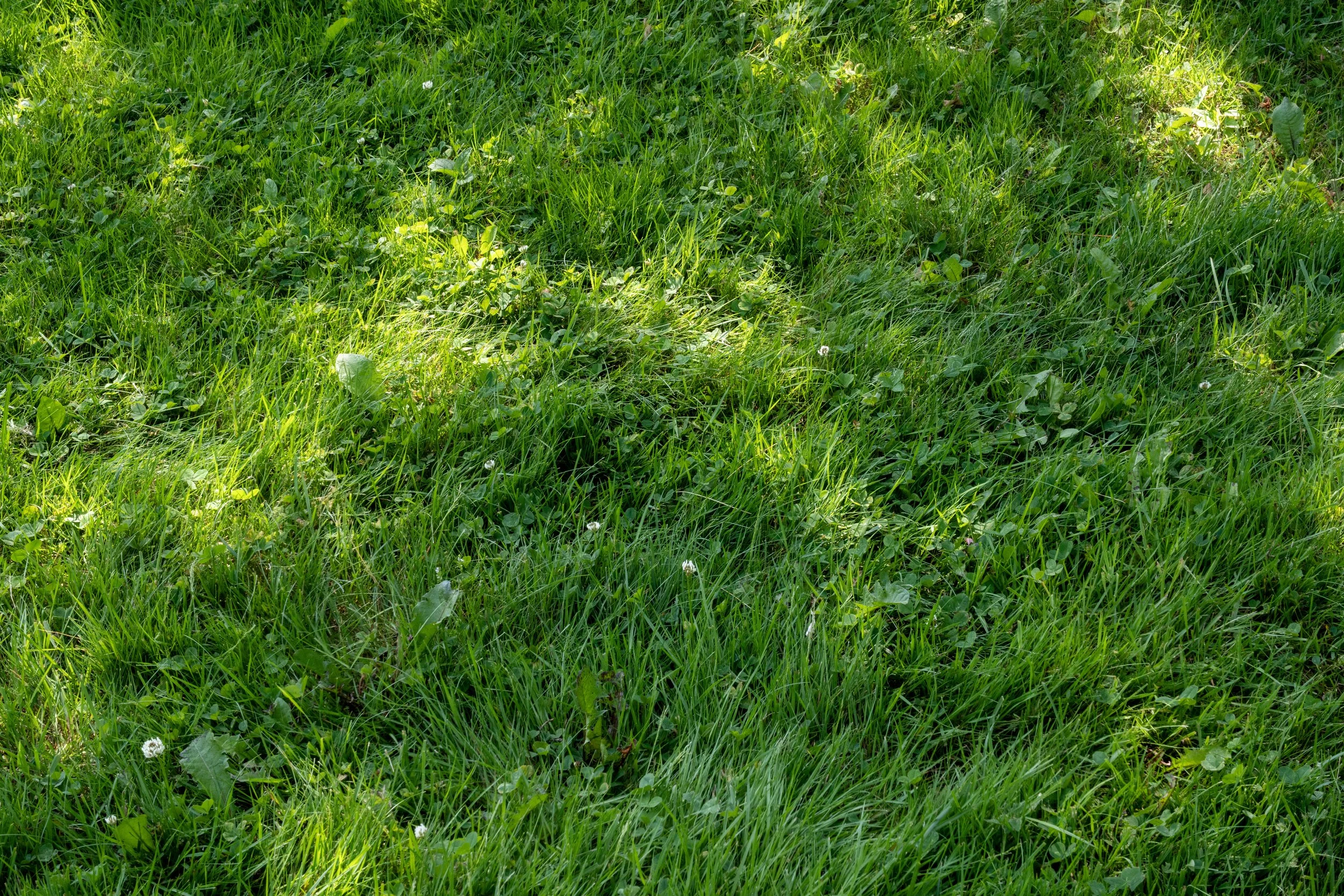 DSC01053.jpg