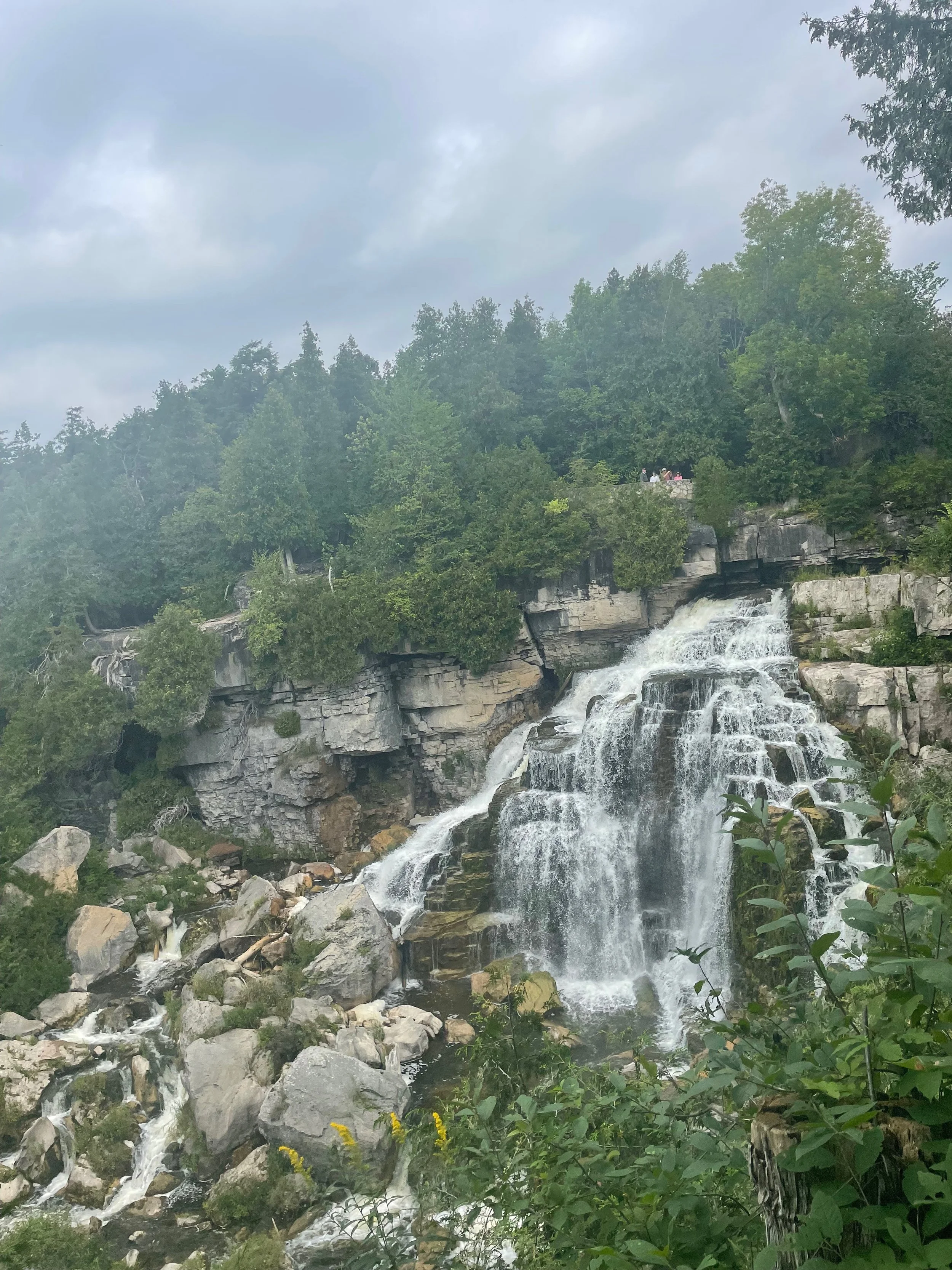 A waterfall cascading over rocks surrounded by greenery on a cloudy day, representing breaking free from trauma - regeneration, renewal, and growth, representing the strength you have within that we emphasize in our therapeutic work.