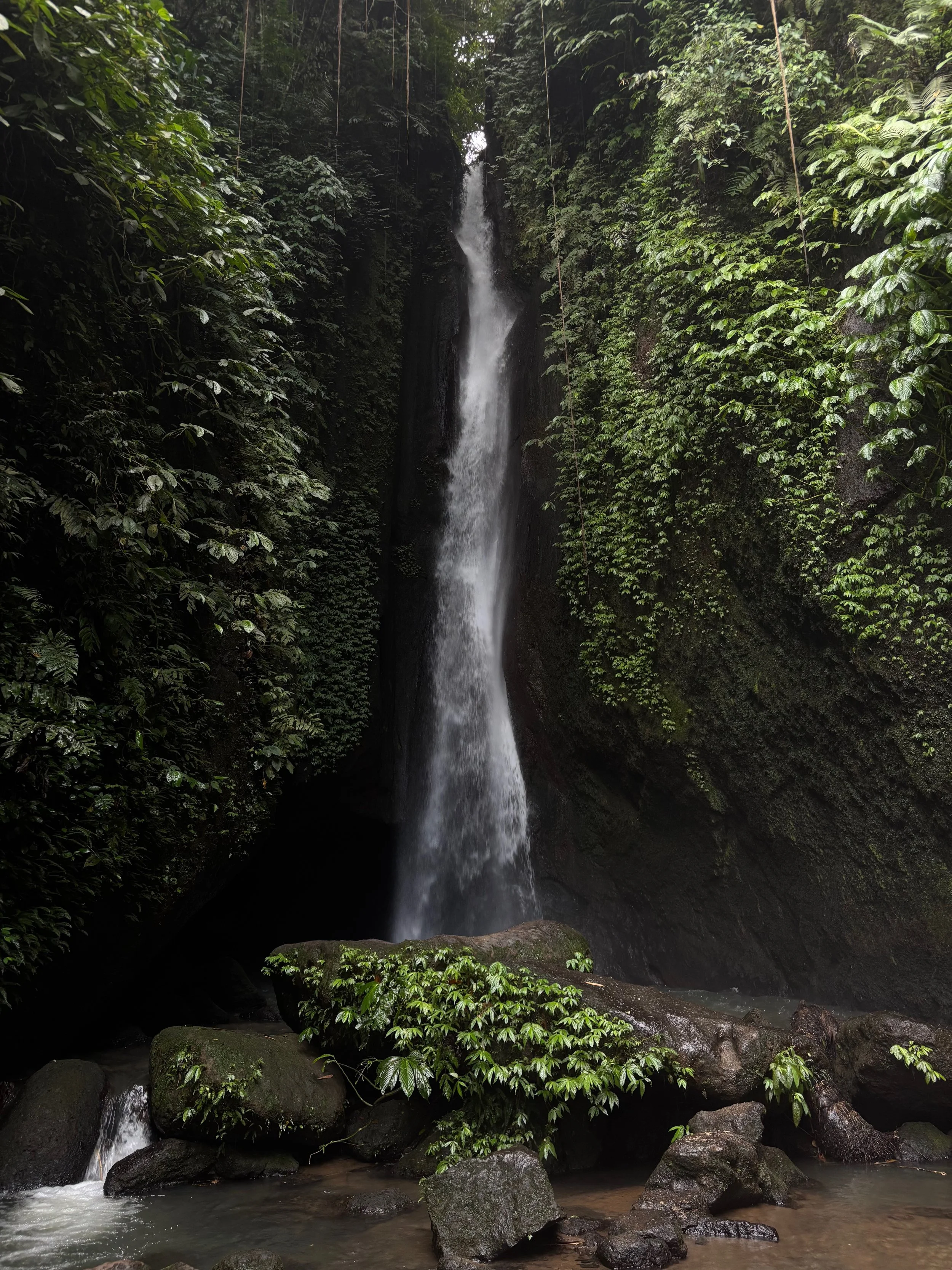 A tall waterfall flowing between lush green rocks and foliage in a rainforest, representing the flow of energy within us all. Therapy at Havenwood Psychotherapy supports you to reconnect with your inner strength, wisdom, and authenticity.