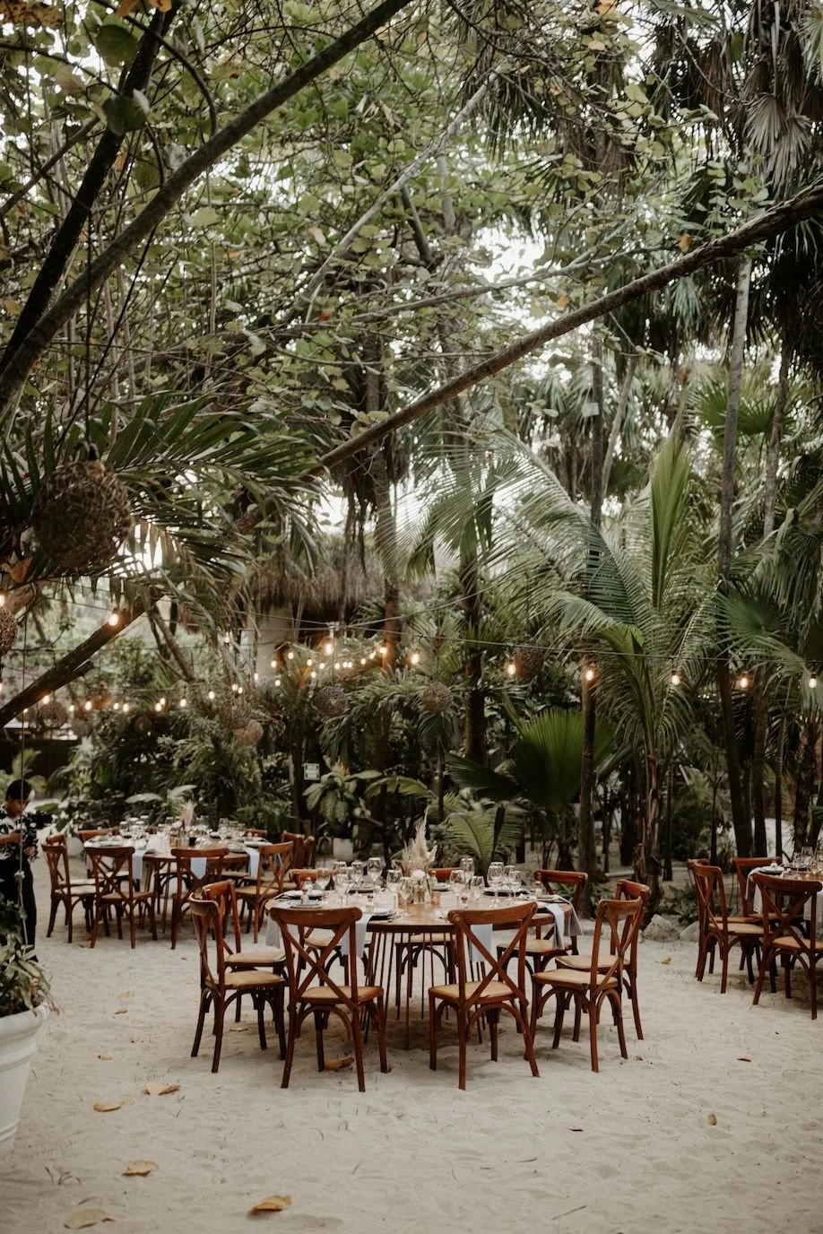 An outdoor dining area set up amidst lush green trees and plants. Multiple round tables are arranged with wooden chairs around them. String lights are hanging above, creating a warm, inviting atmosphere.
