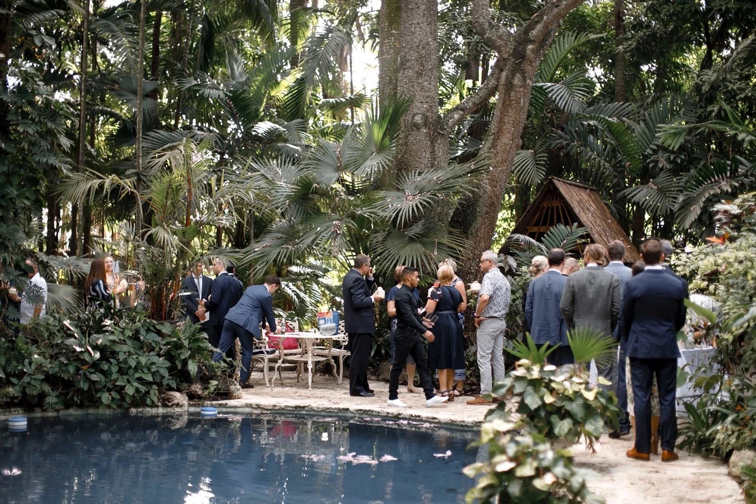 People gathered outdoors in a lush, tropical garden with palm trees, near a swimming pool.