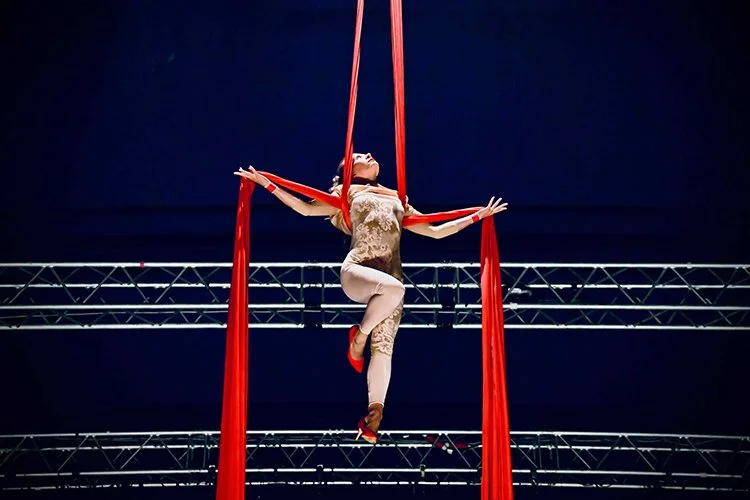 Ženskost jako zdroj tvorby