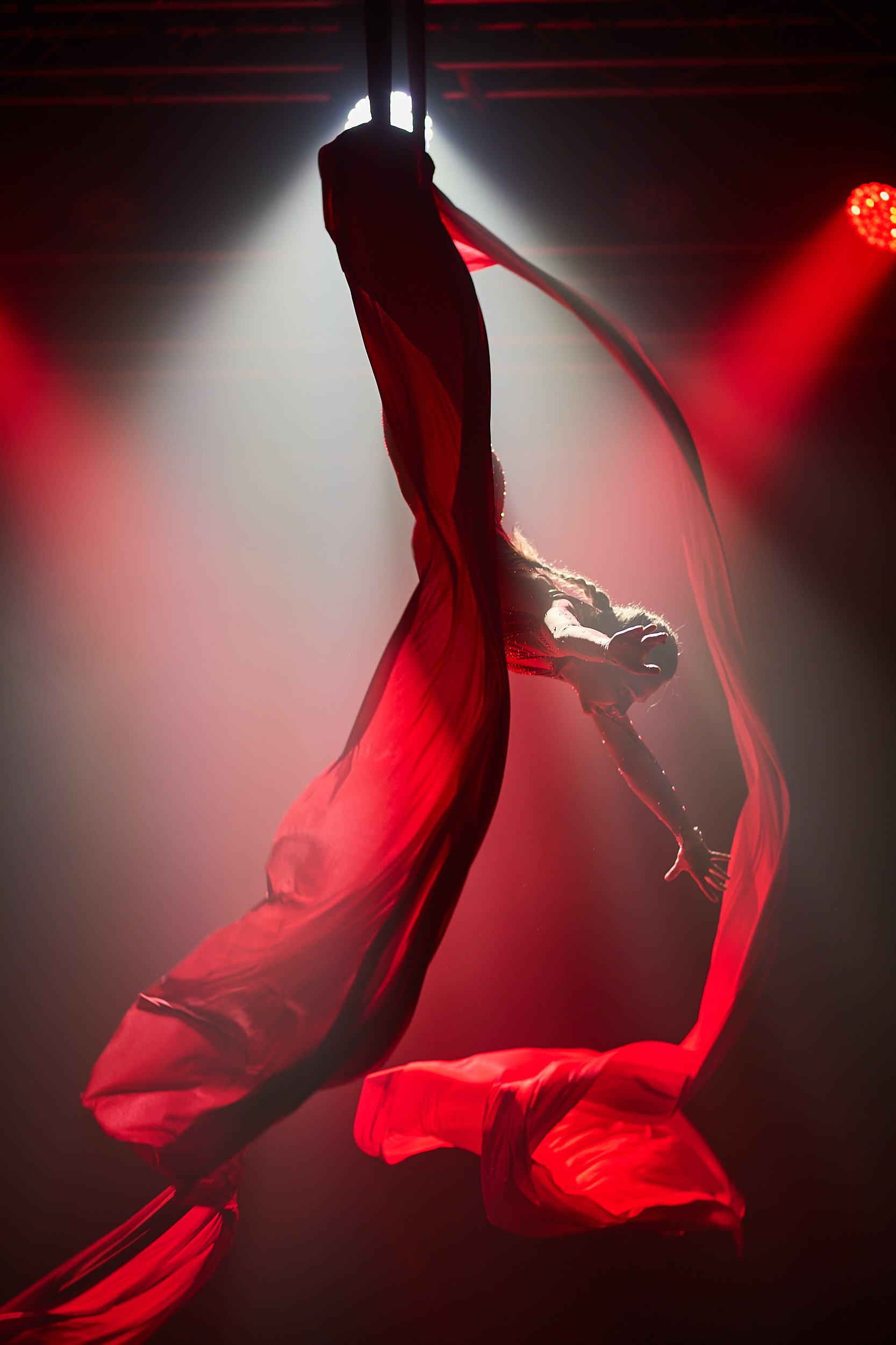 IVY_Milos-Salek13.jpg