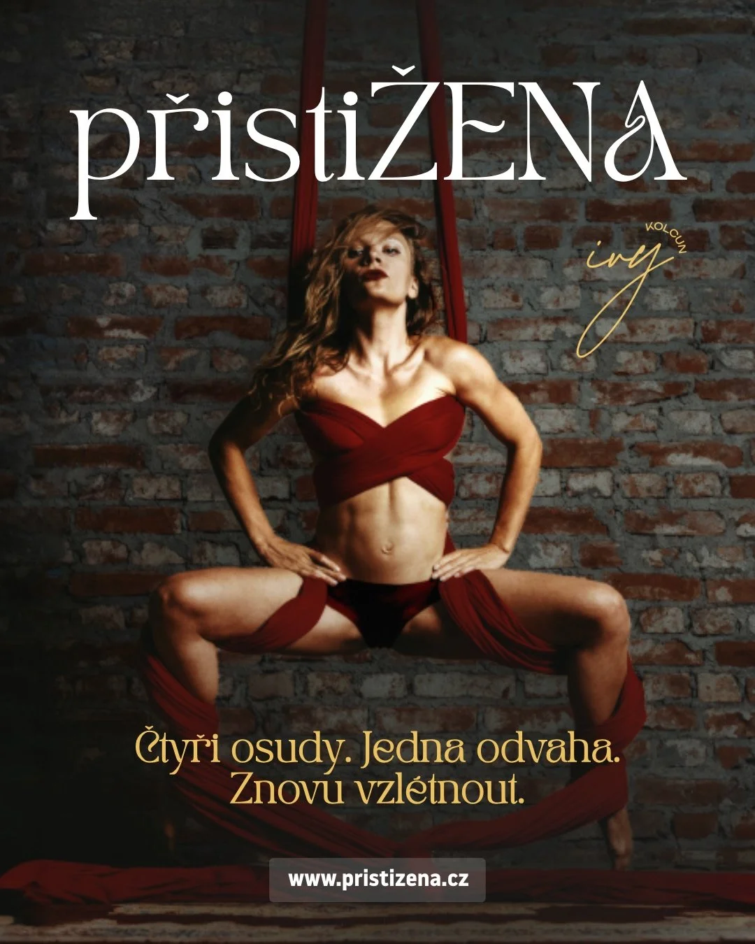 přistiŽENA (venkovní verze)