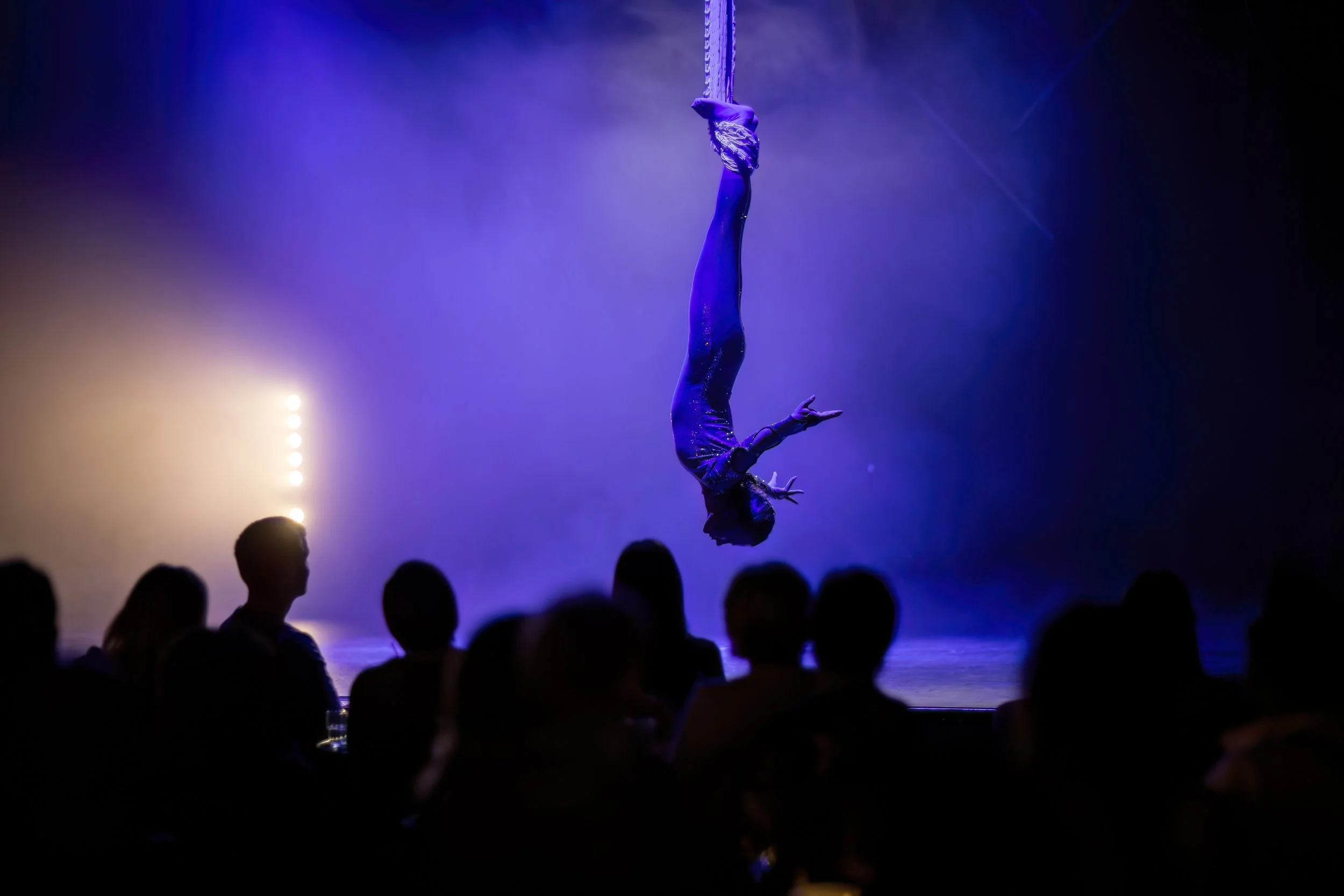 Aerial performer hanging upside down on a purple silk in front of an audience with stage lighting.