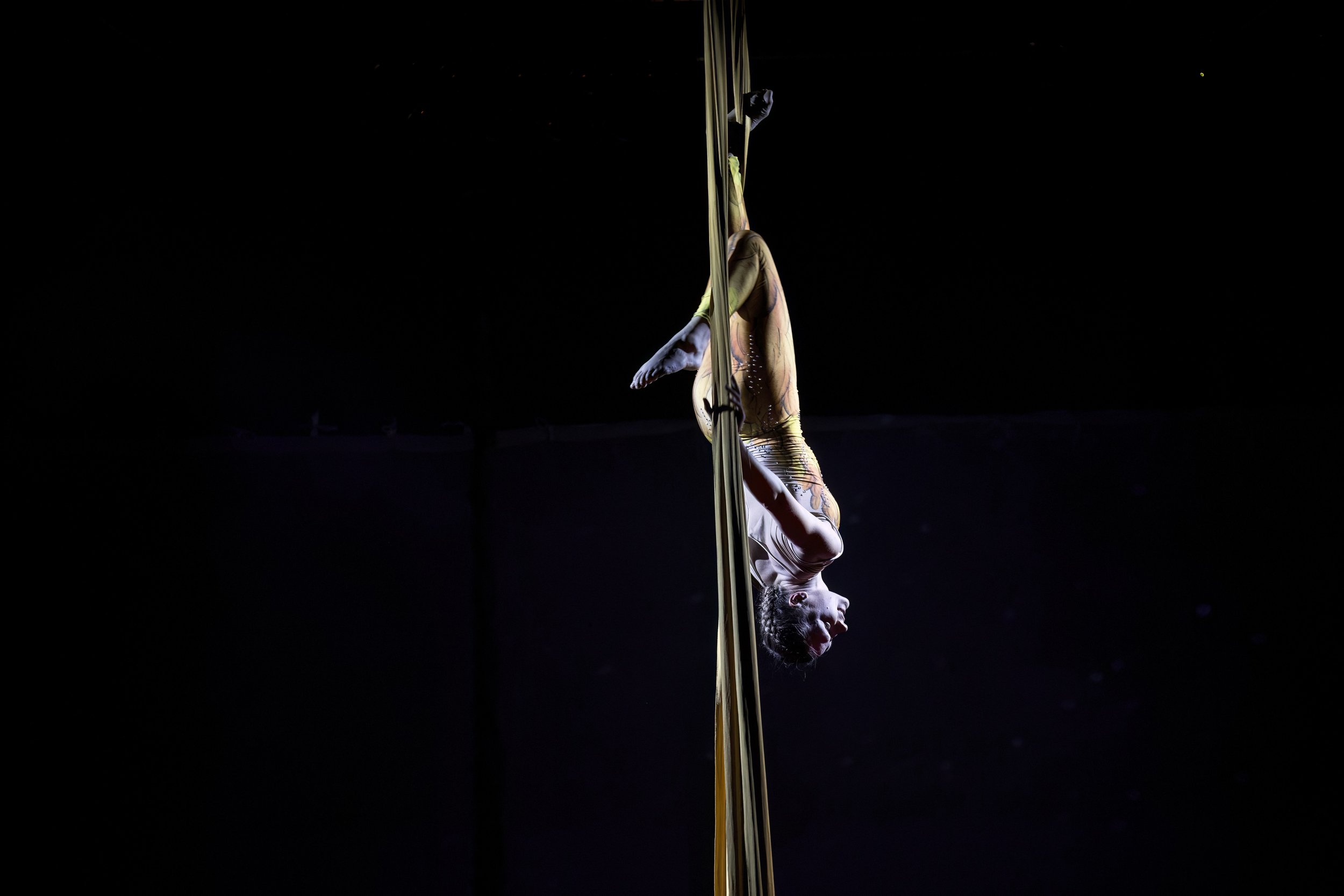Ivy Kolcun an aerial silk performer hangs upside down on yellow silks in a dark setting during pristizena performance which is psychological act