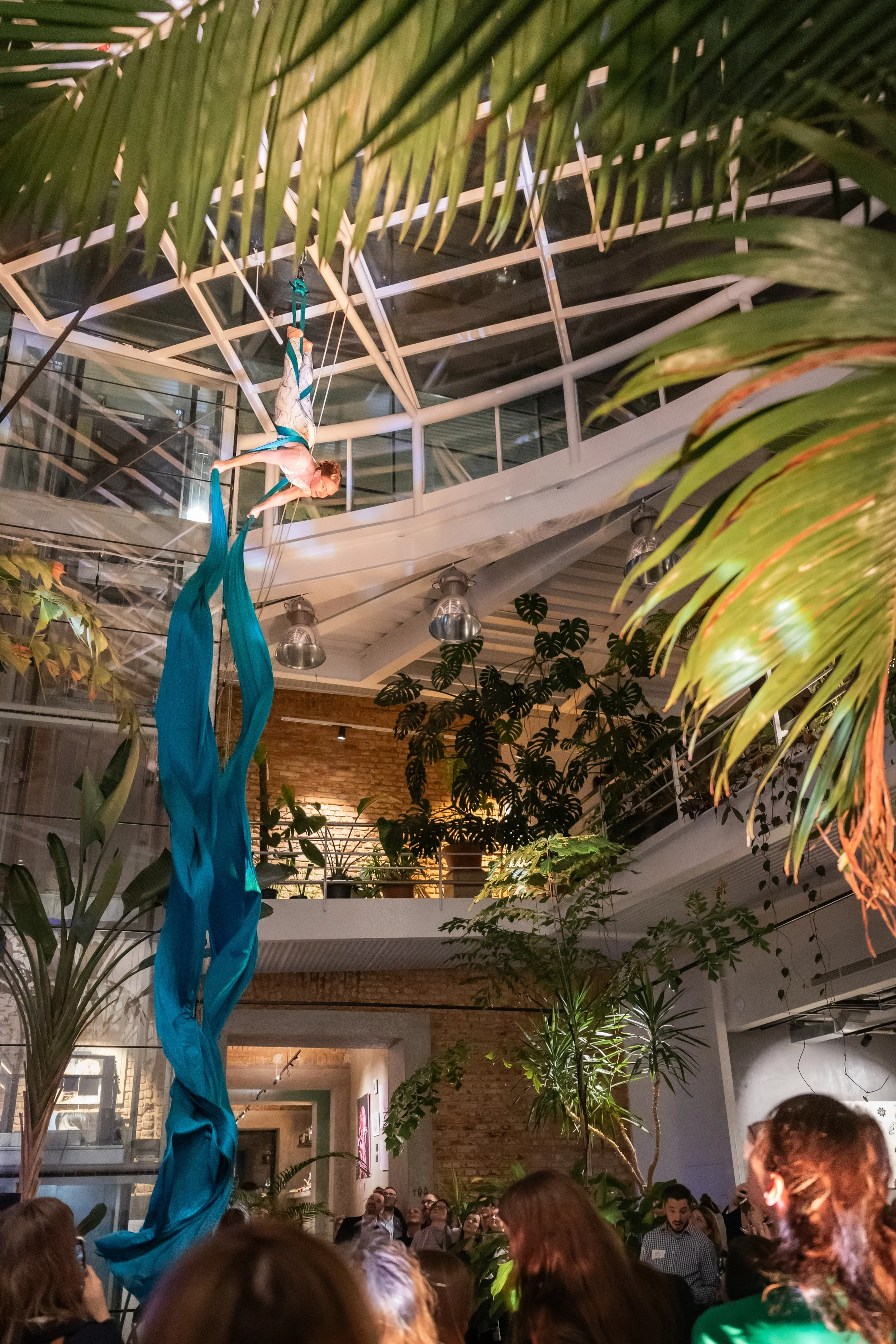 Ivy Kolcun an aerial silk performer suspended in a lush, plant-filled indoor space, audience watching below GRAM restaurant 
