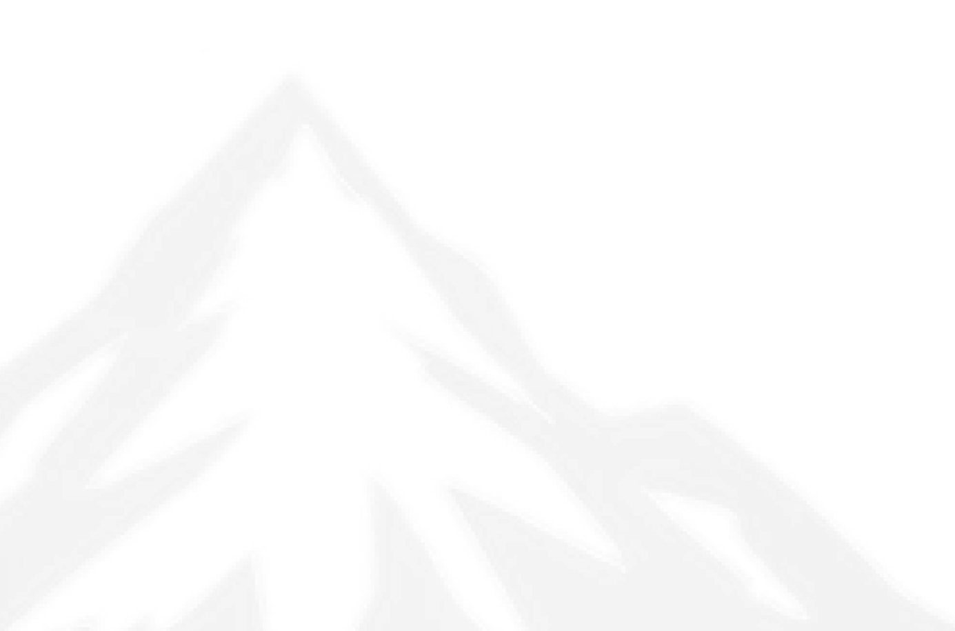 Faint, abstract outline of a mountain peak against a white background.
