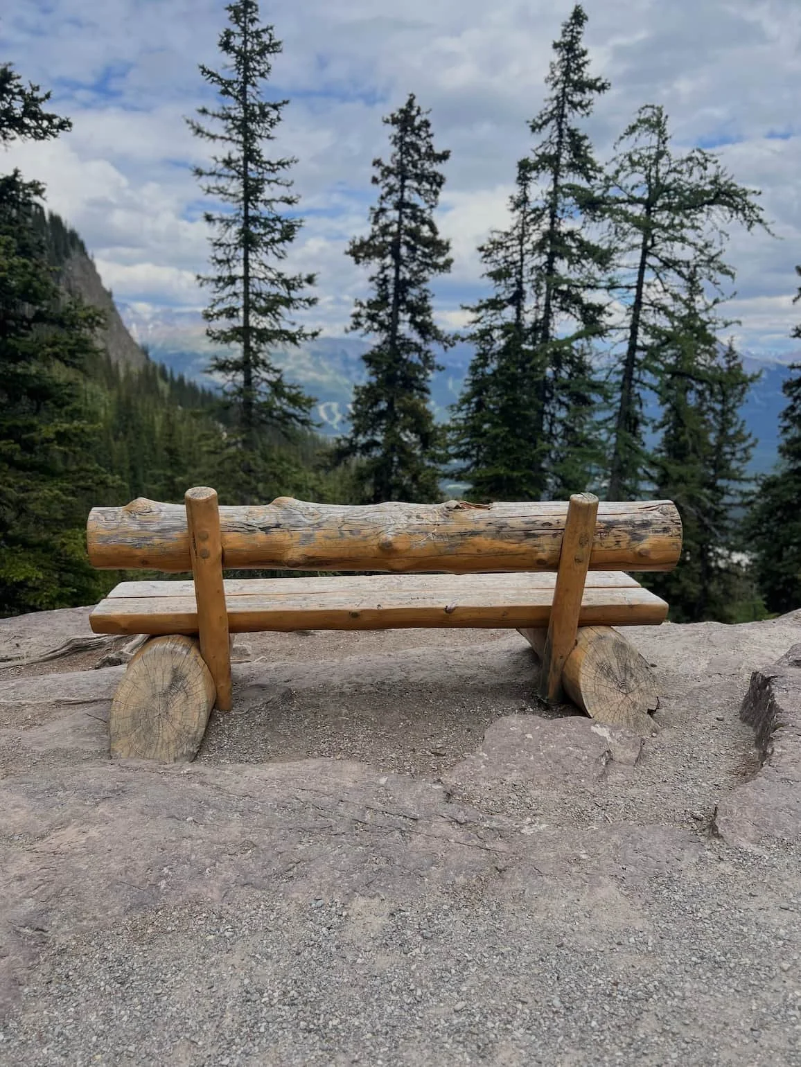 A rustic wooden bench sits on a rocky surface, overlooking pine trees and distant mountains under a cloudy sky.