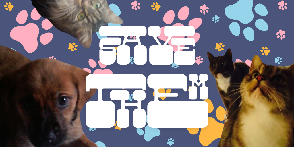 RSS2 - Kittens & Puppies.png