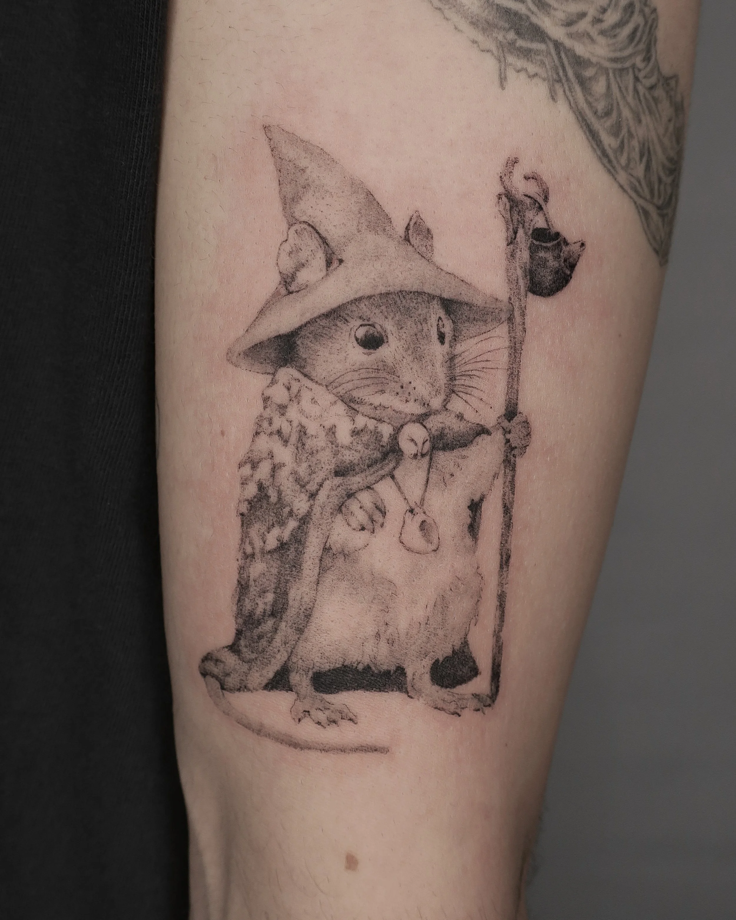 original illustration by Lily Seika Jones