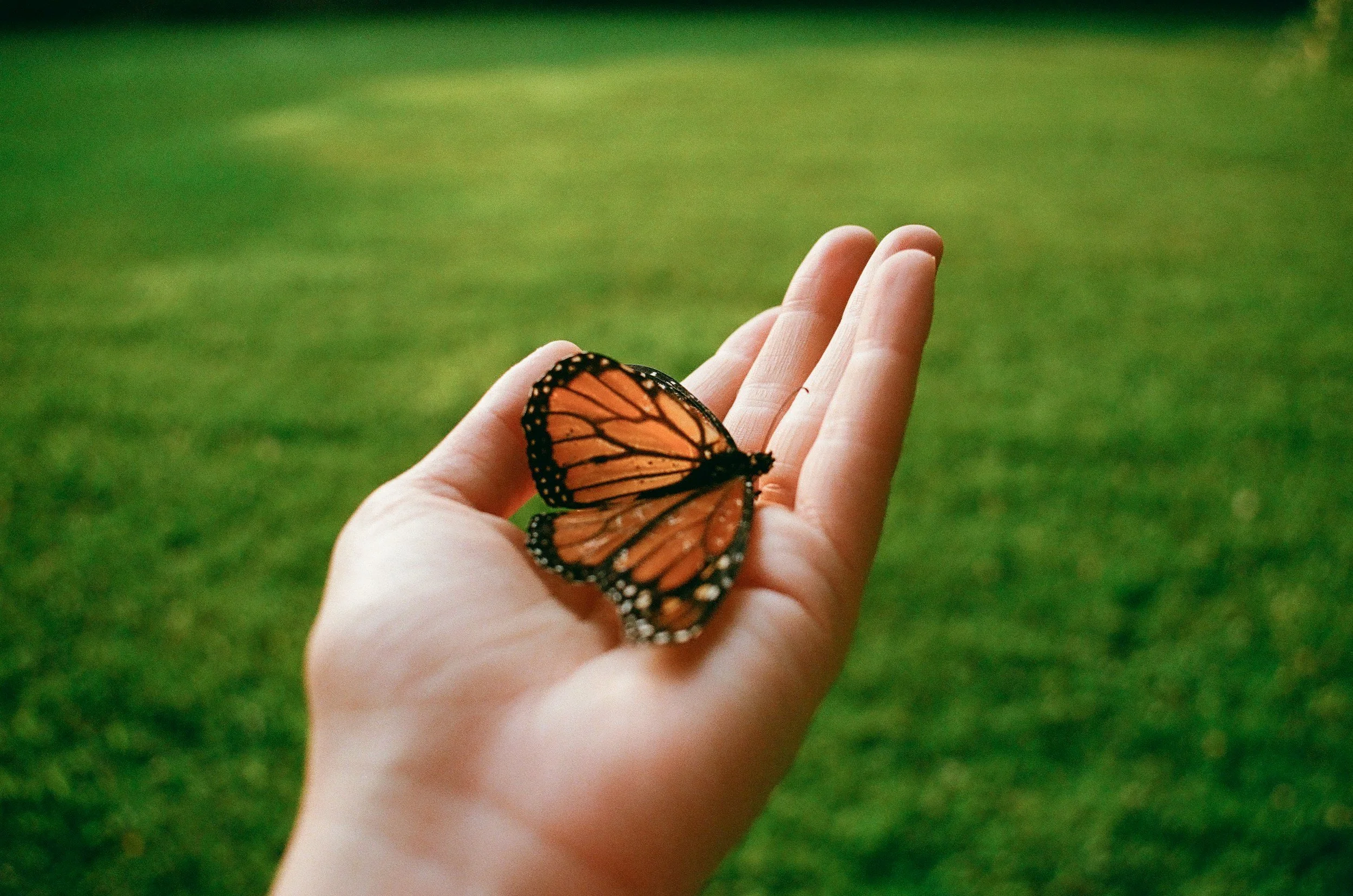 unsplash-image-tOY4_Xk6QDg.jpg