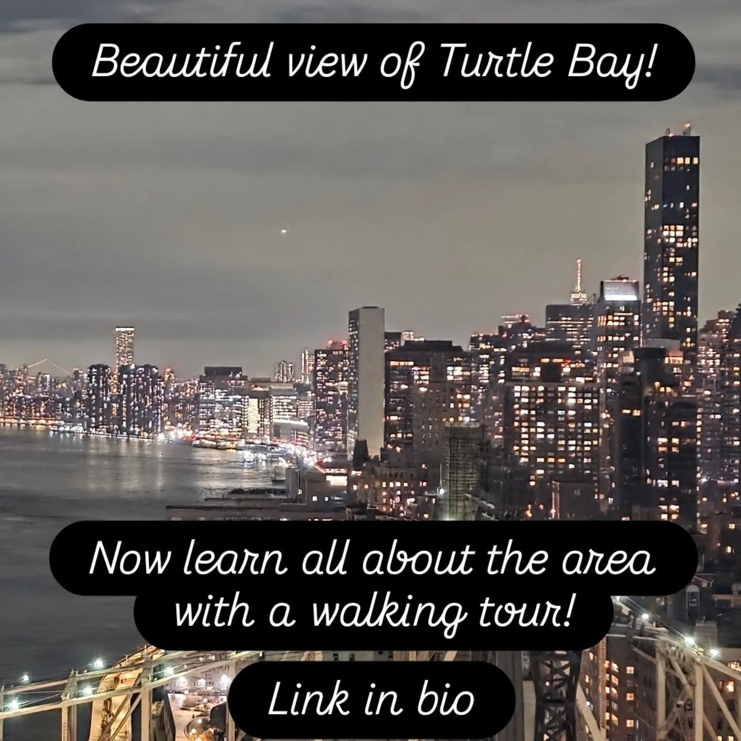 Learn how Turtle Bay went from being the smelliest to one of the swankiest areas in #manhattan 
Book a walking tour!
#WalkingTours #turtlebay