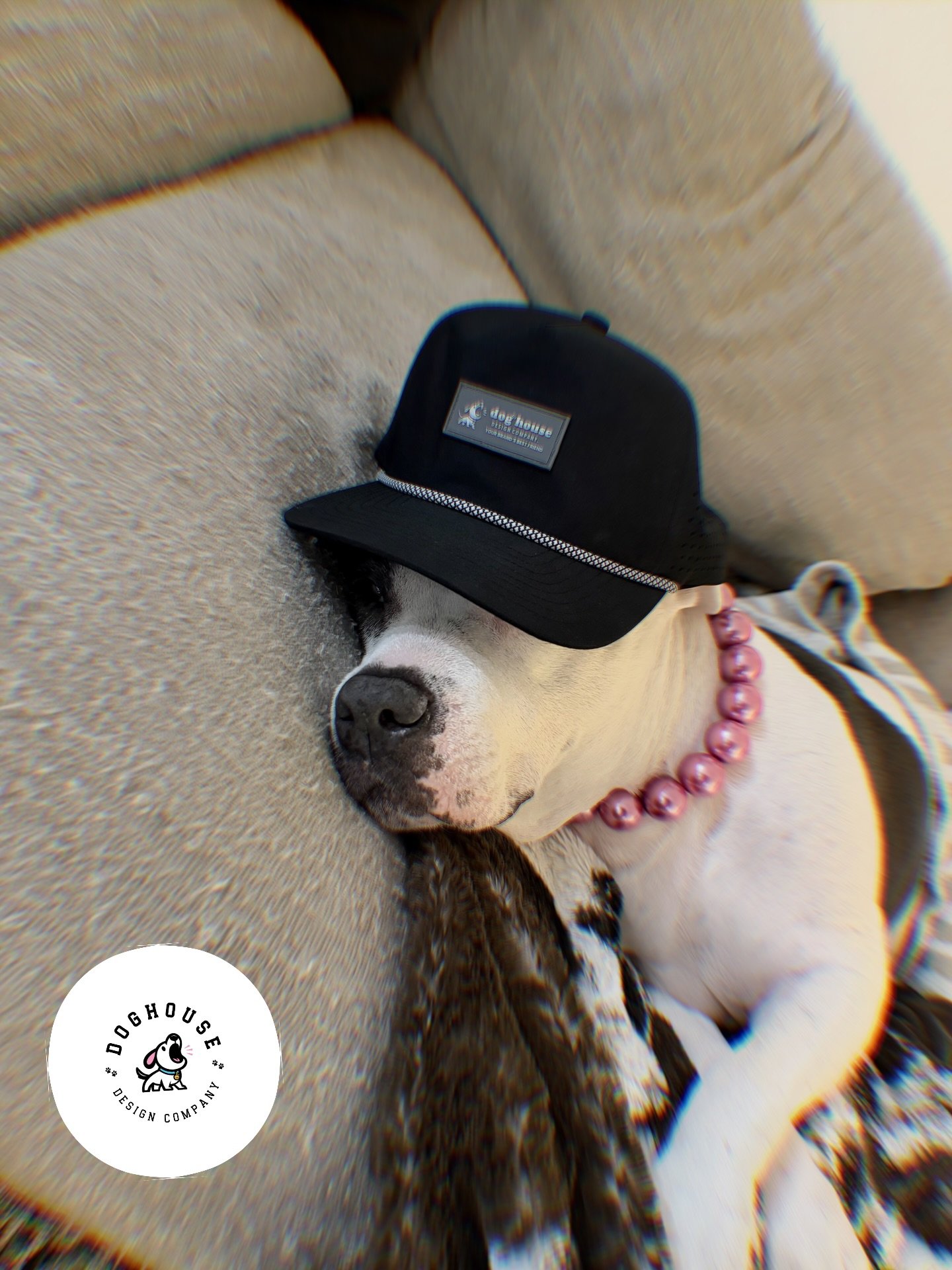 Still here. Still building.

Thank you to everyone who supported Doghouse this year &mdash; the messages, the orders, the trust, all of it doesn&rsquo;t go unnoticed. 🖤
We may have been quiet on here lately, but behind the scenes the pack&rsquo;s be