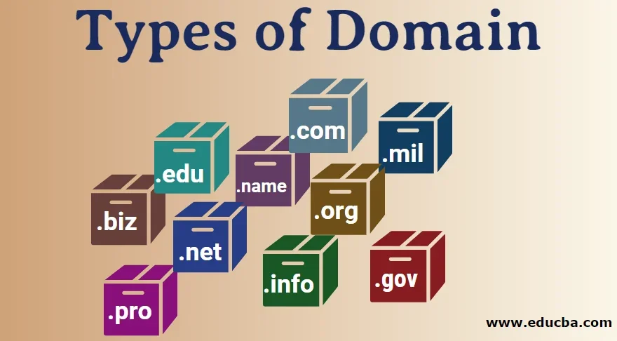 Types-of-Domain.webp