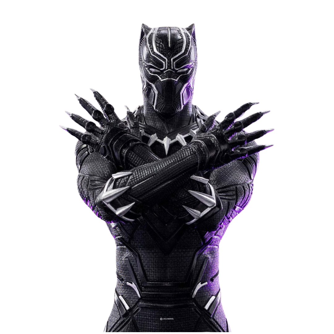 Black Panther character in a black suit with silver accents and crossed arms.