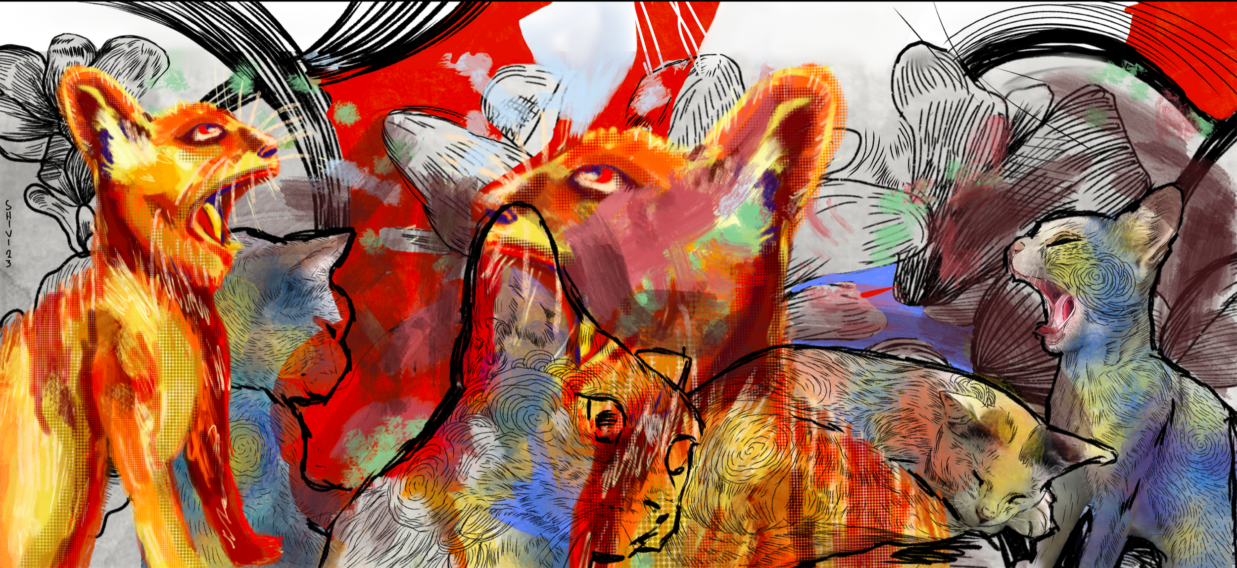 IMG_1788.png