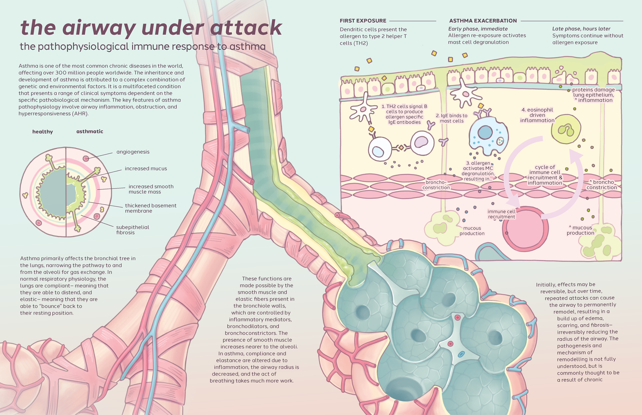 asthma_critique_web.png