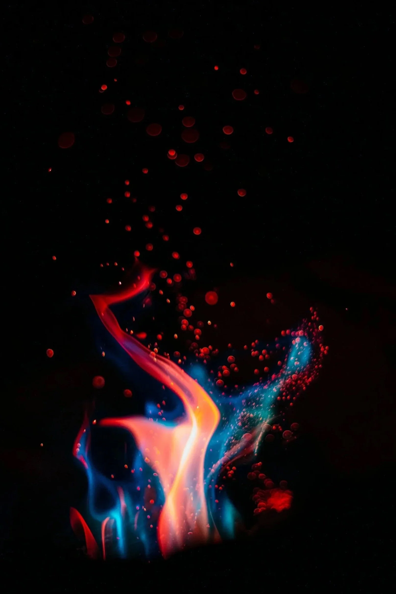 Colorful abstract flames with red, blue, and orange hues against a black background.