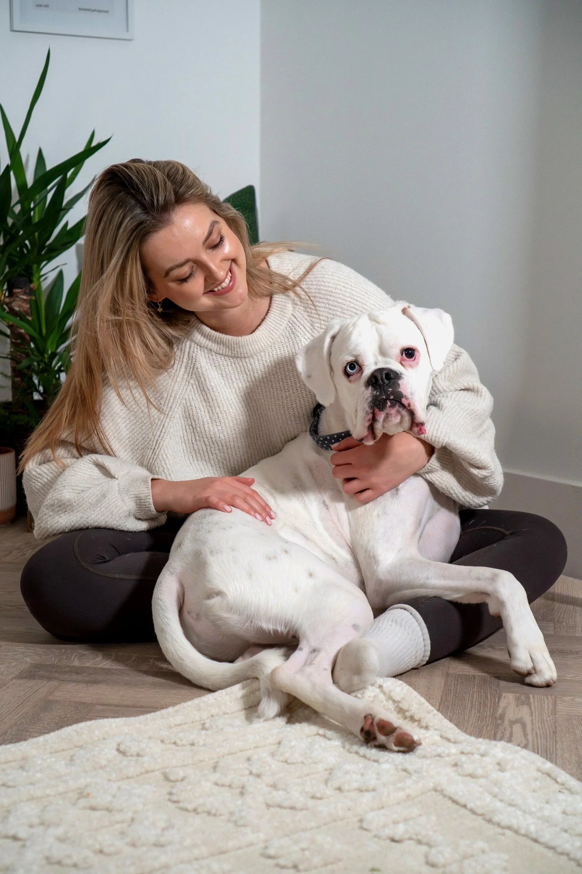 A woman sitting cross-legged on a carpet, smiling while hugging a large white dog with black spots and a black collar, indoors with a green plant in the background.