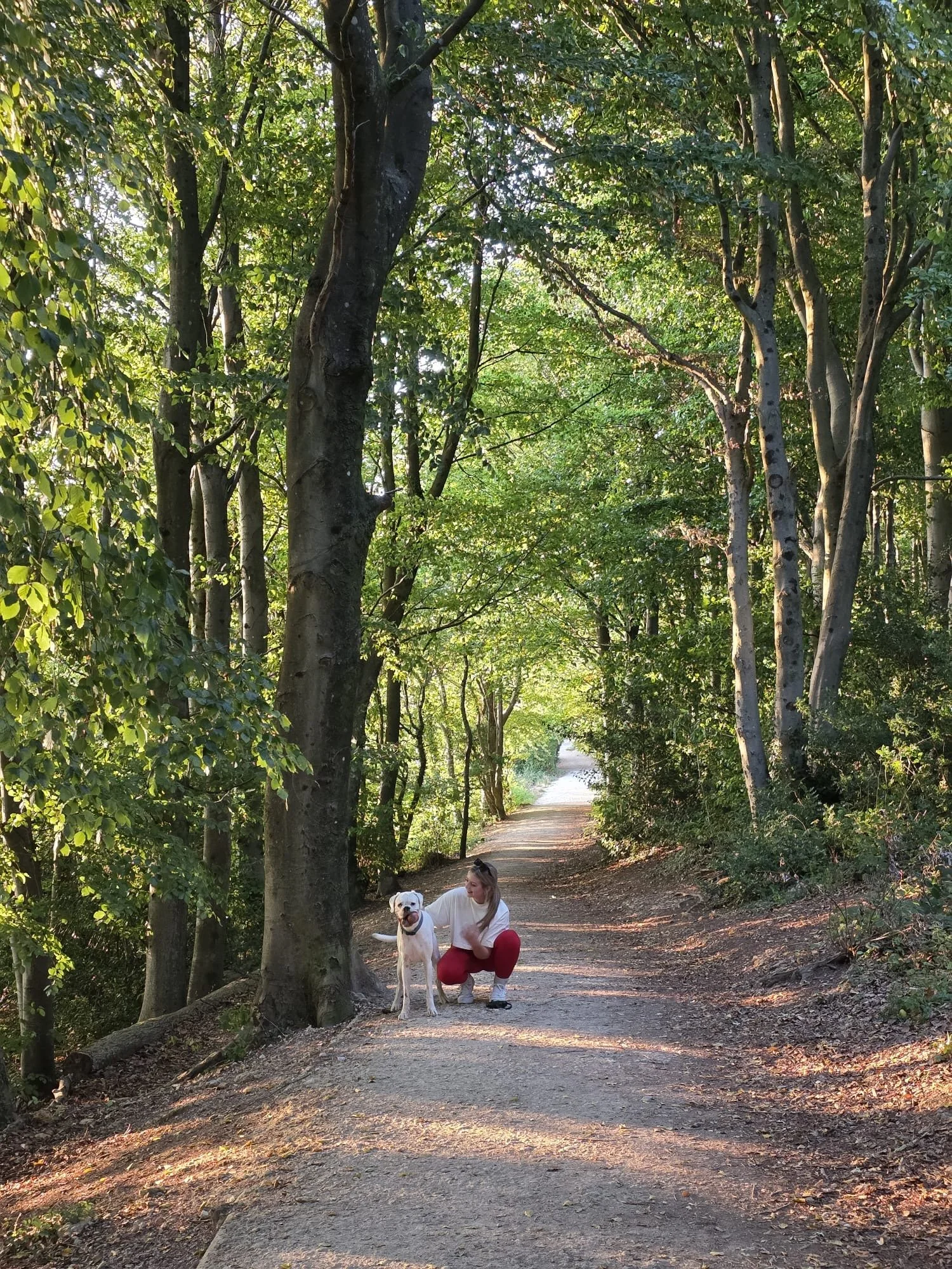 A woman in red pants and white shirt crouches next to a large white dog on a wooded trail.