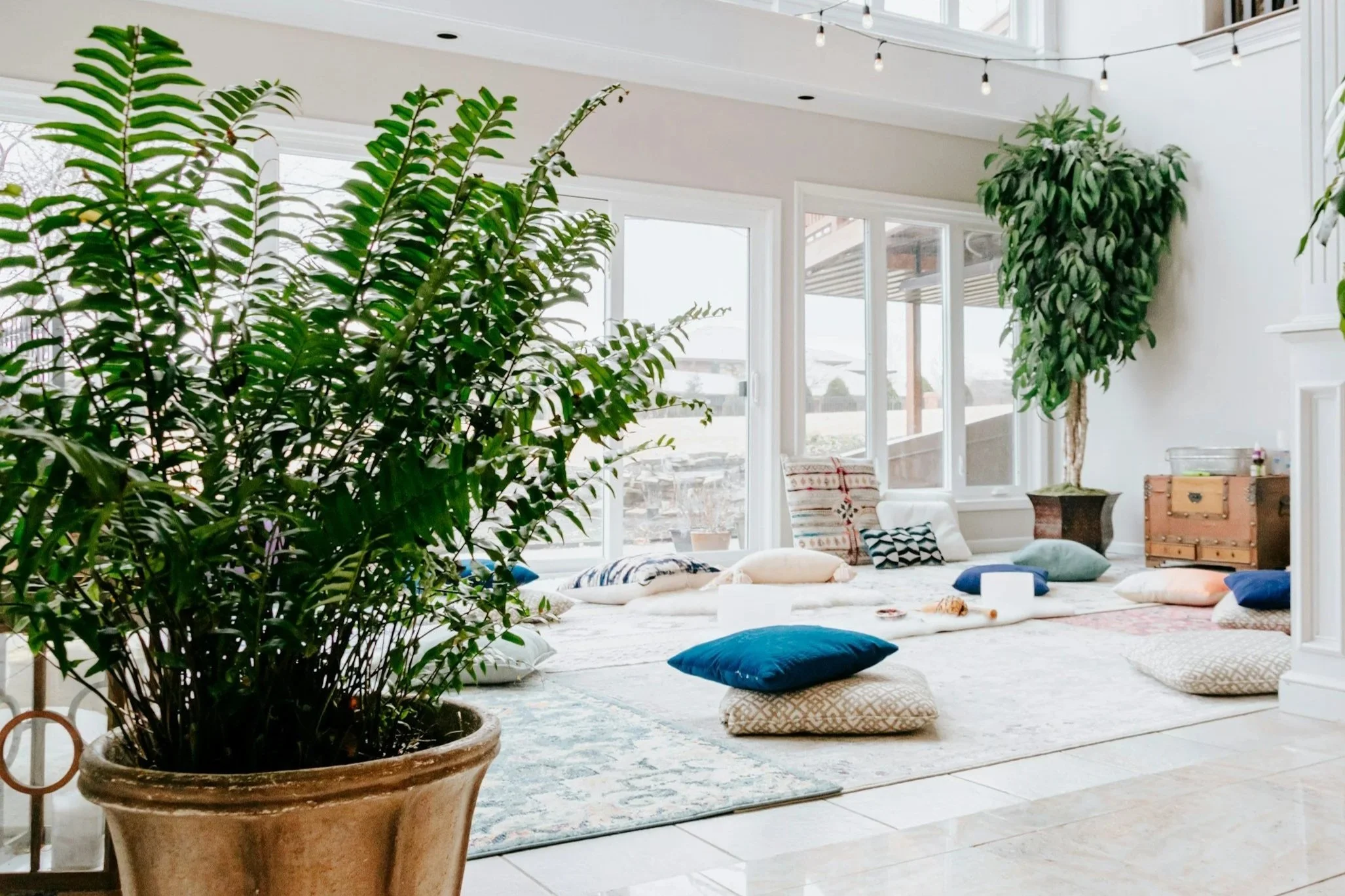 Bright living room with large indoor plants, cushions, and a seating area on a rug near glass doors.