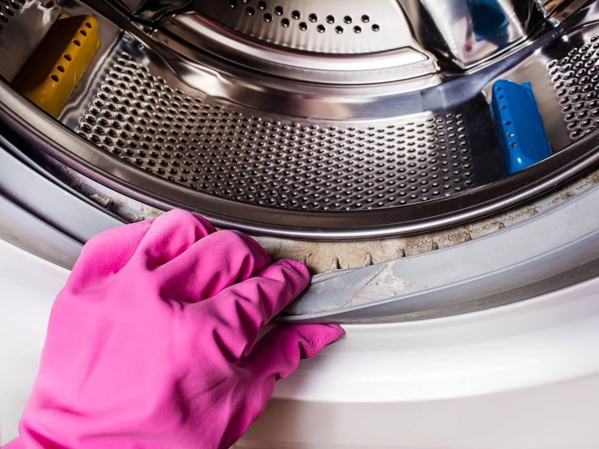 Front Load Washing Machine Gasket Seal