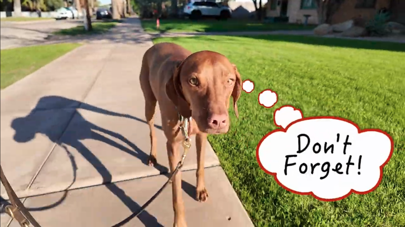 You must register separately on SRP’s voter list if you want to vote!