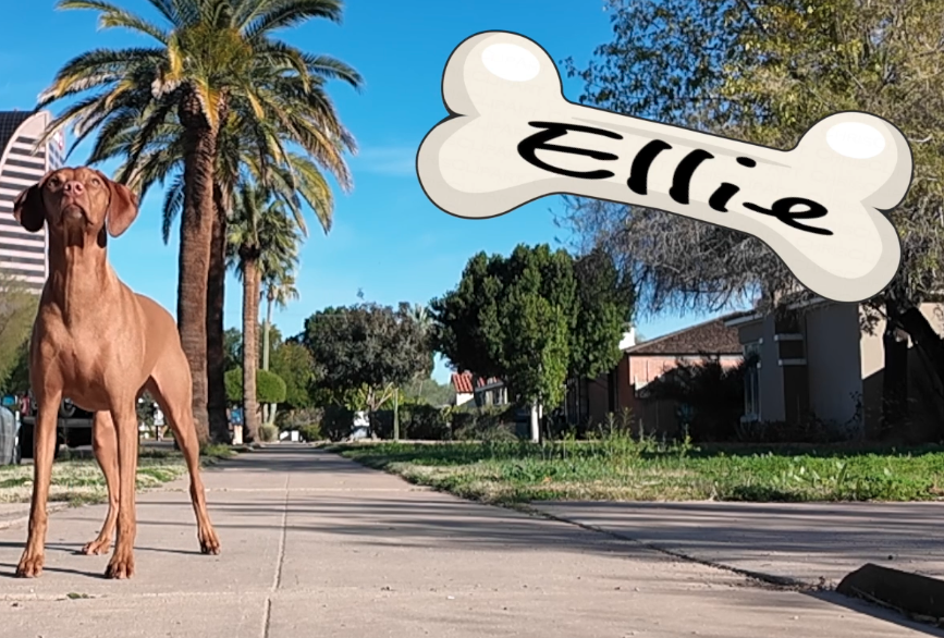 What Does “Value of Solar” Mean? And Why Does Everyone Fight About It?