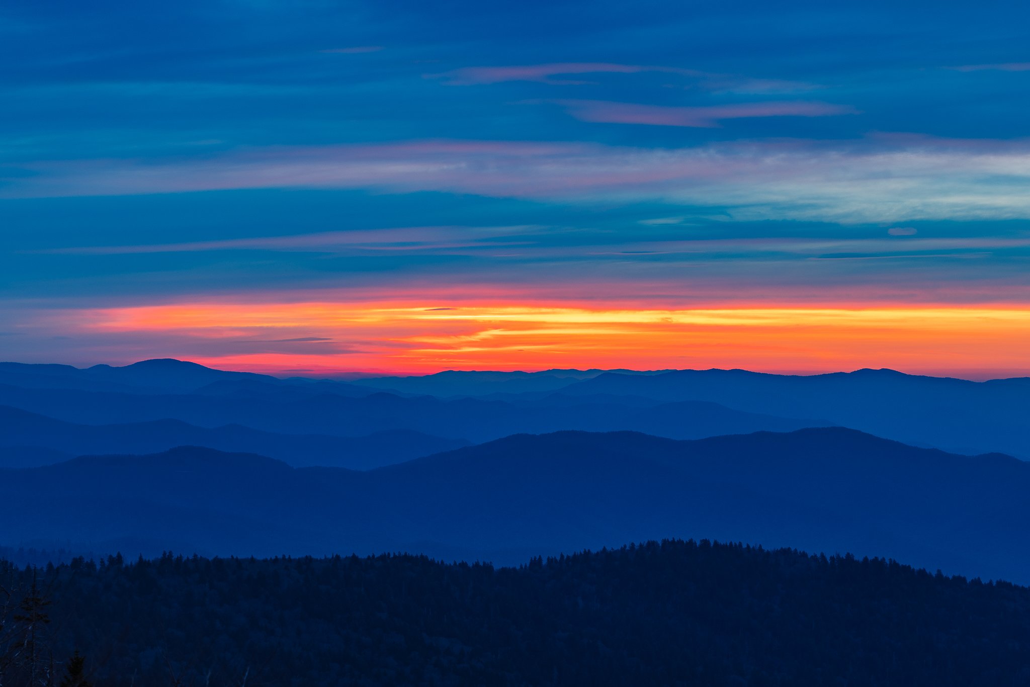 230A0637-HDR.JPG