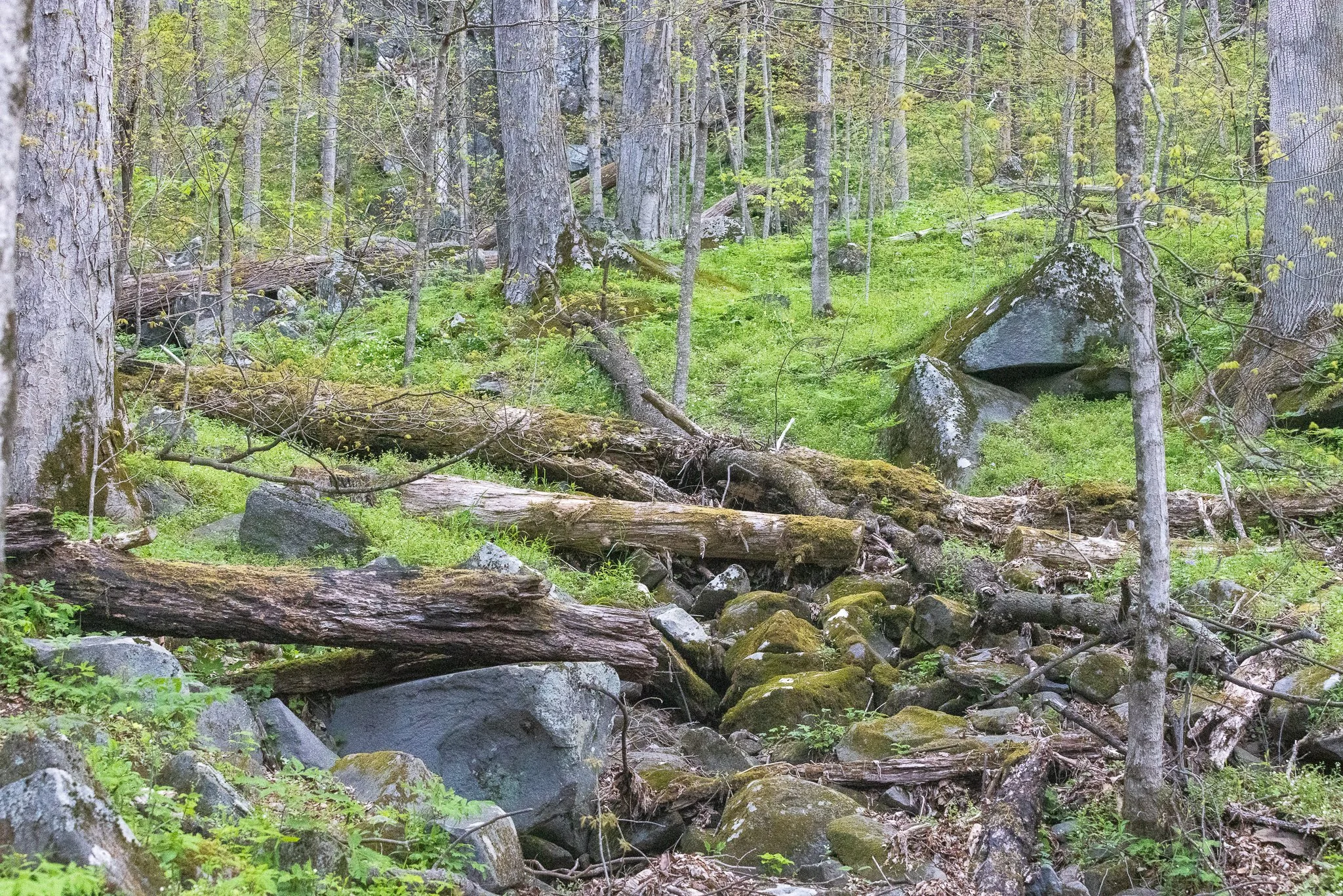 230A0701.JPG