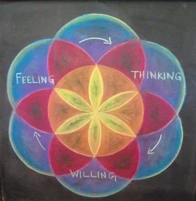Colorful chalk drawing of a flower with overlapping petals, each labeled with feelings: Feeling, Thinking, Willing, surrounding a central yellow flower, on dark background.