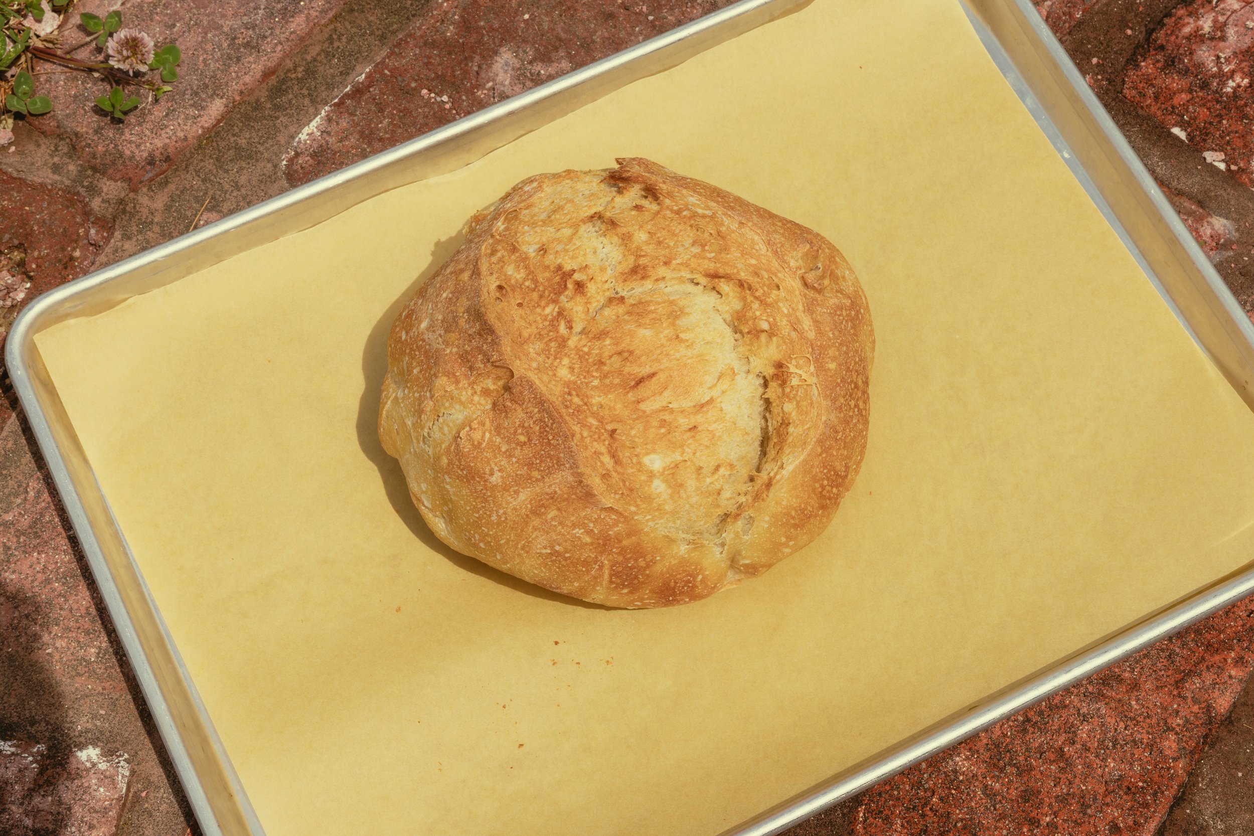 Sourdough Loaf