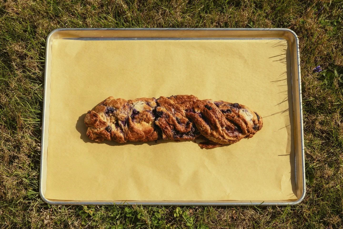 Introducing our Blueberry Cream Cheese Babka ✨

Perfect treat to snack on while having a Bible study at the cafe 😍

Come in and try it for yourself 

#localbakery #rootedandgatheraprilmenu #blueberrycreamcheesebabka #christiancoffeeshopinasheville #