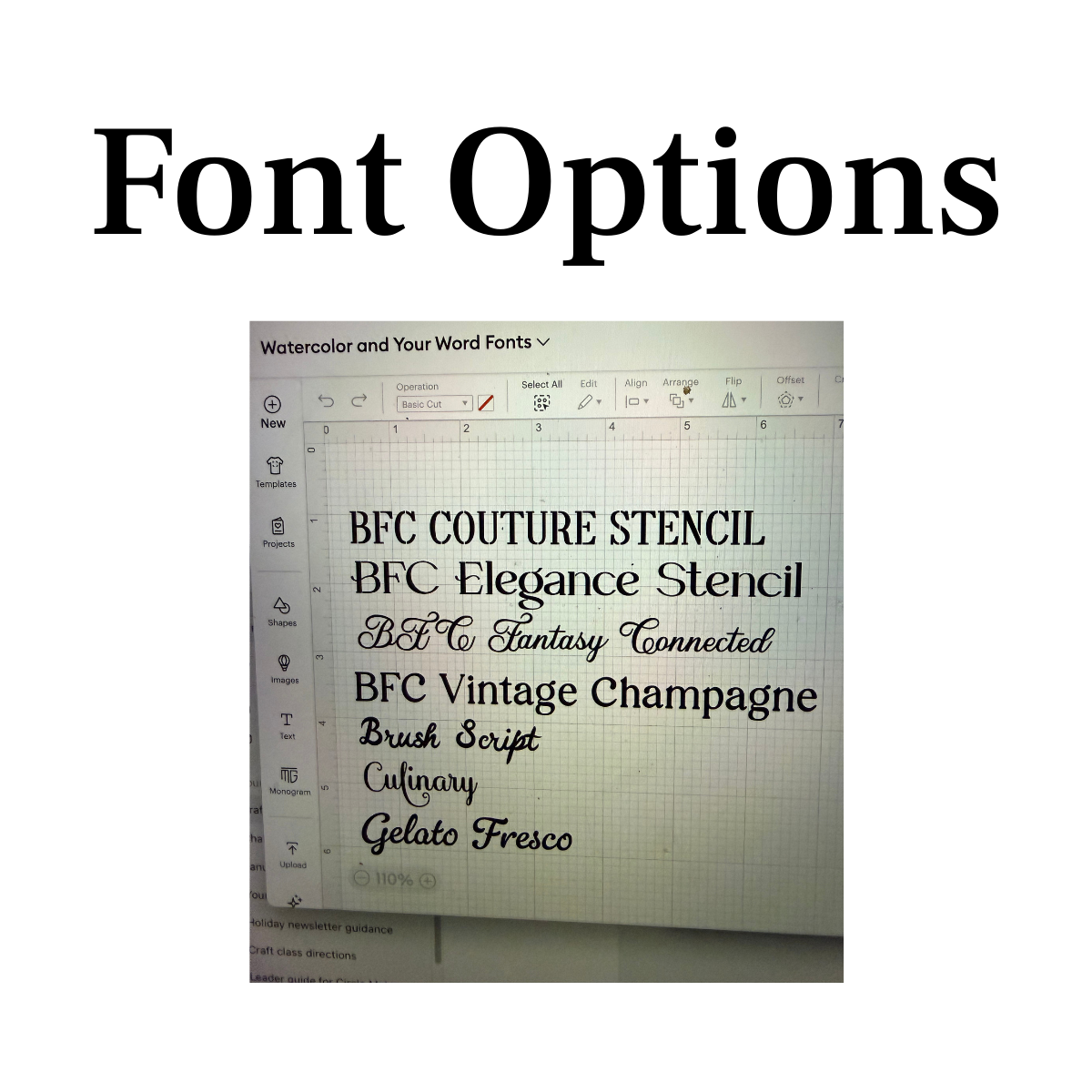 Font Options.png