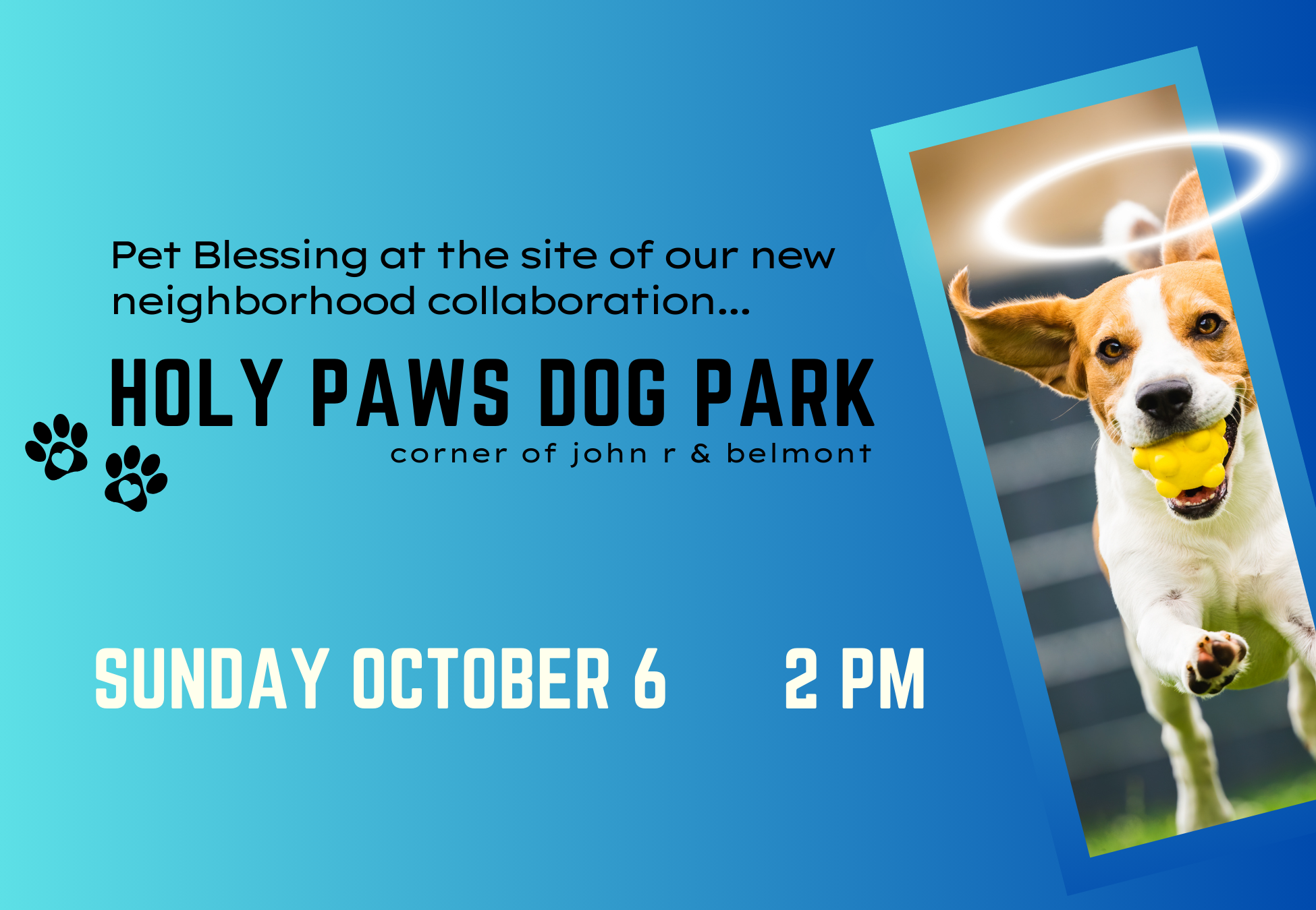 Events — Holy Paws Dog Park