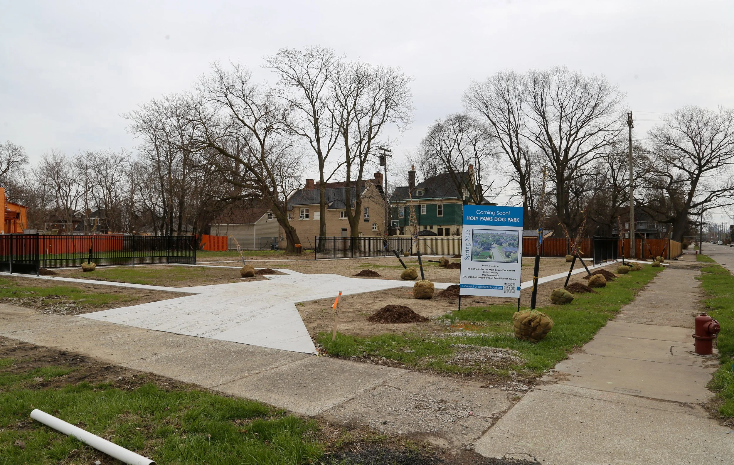 Lot with new cement, some fencing, and the trees waiting to be planted.