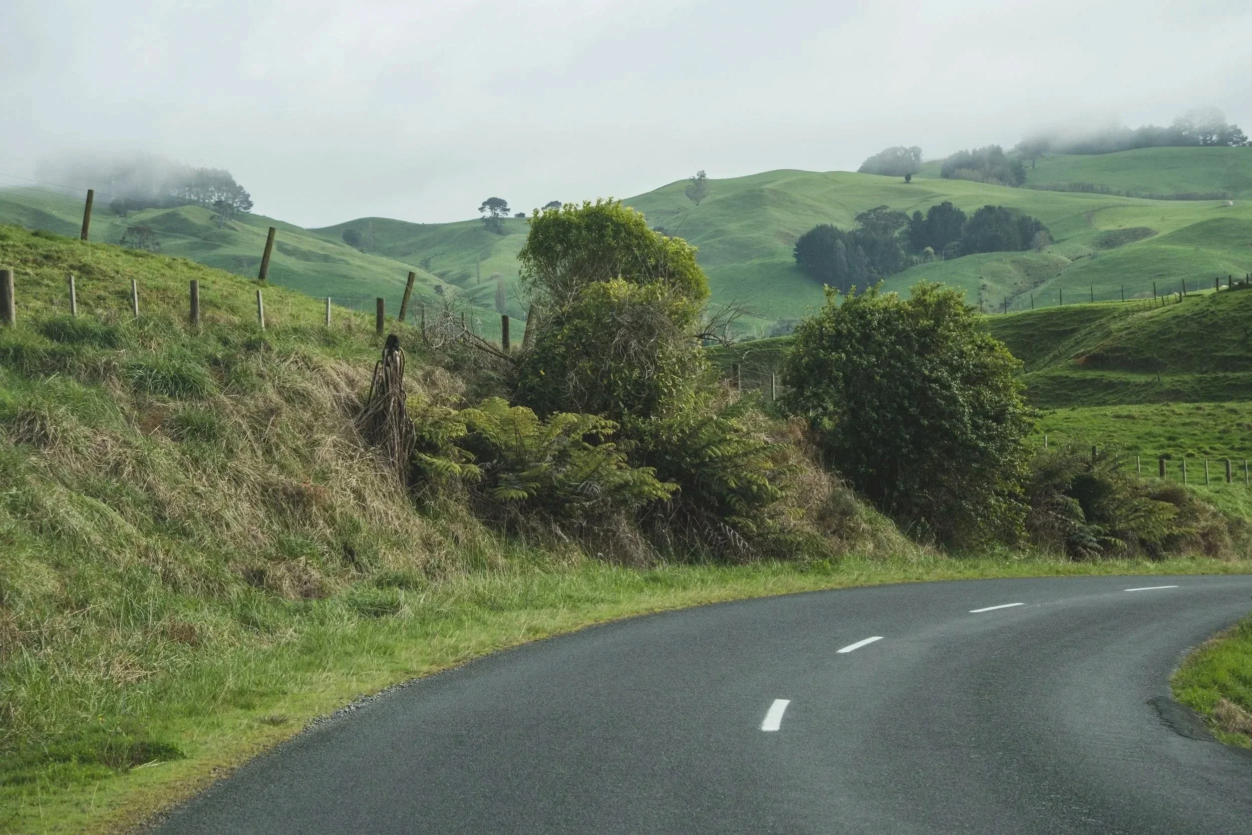 New Zealand: Where the Earth Speaks