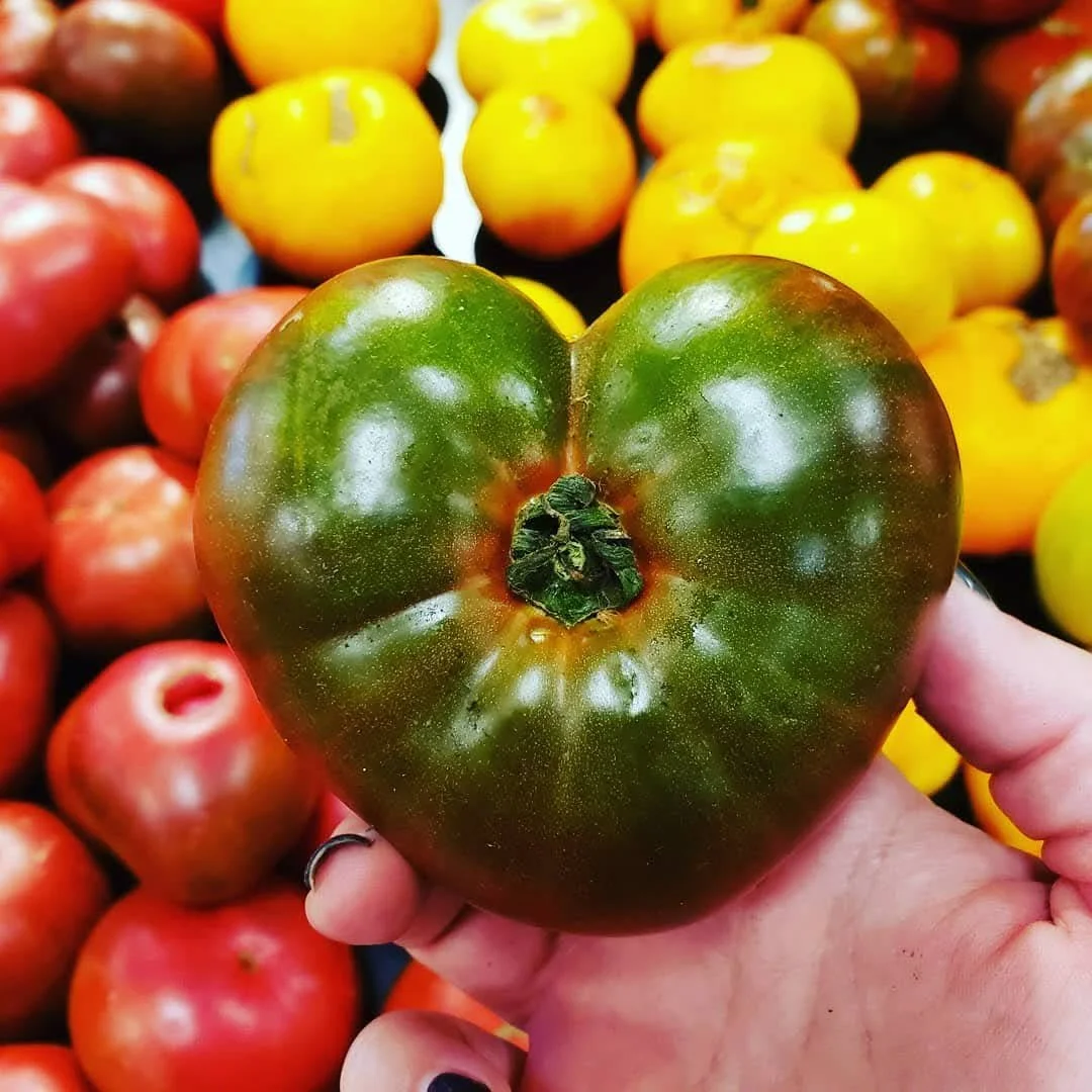 heart tomato.jpeg