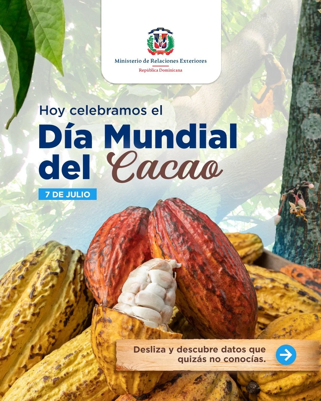 Repost from @mirexrd
&bull;
En este D&iacute;a Mundial del Cacao, desde el #MIREXRD rendimos un profundo agradecimiento a nuestros cacaoteros. 

Detr&aacute;s de cada grano de cacao producido se encuentra una dedicaci&oacute;n incansable. Gracias a s