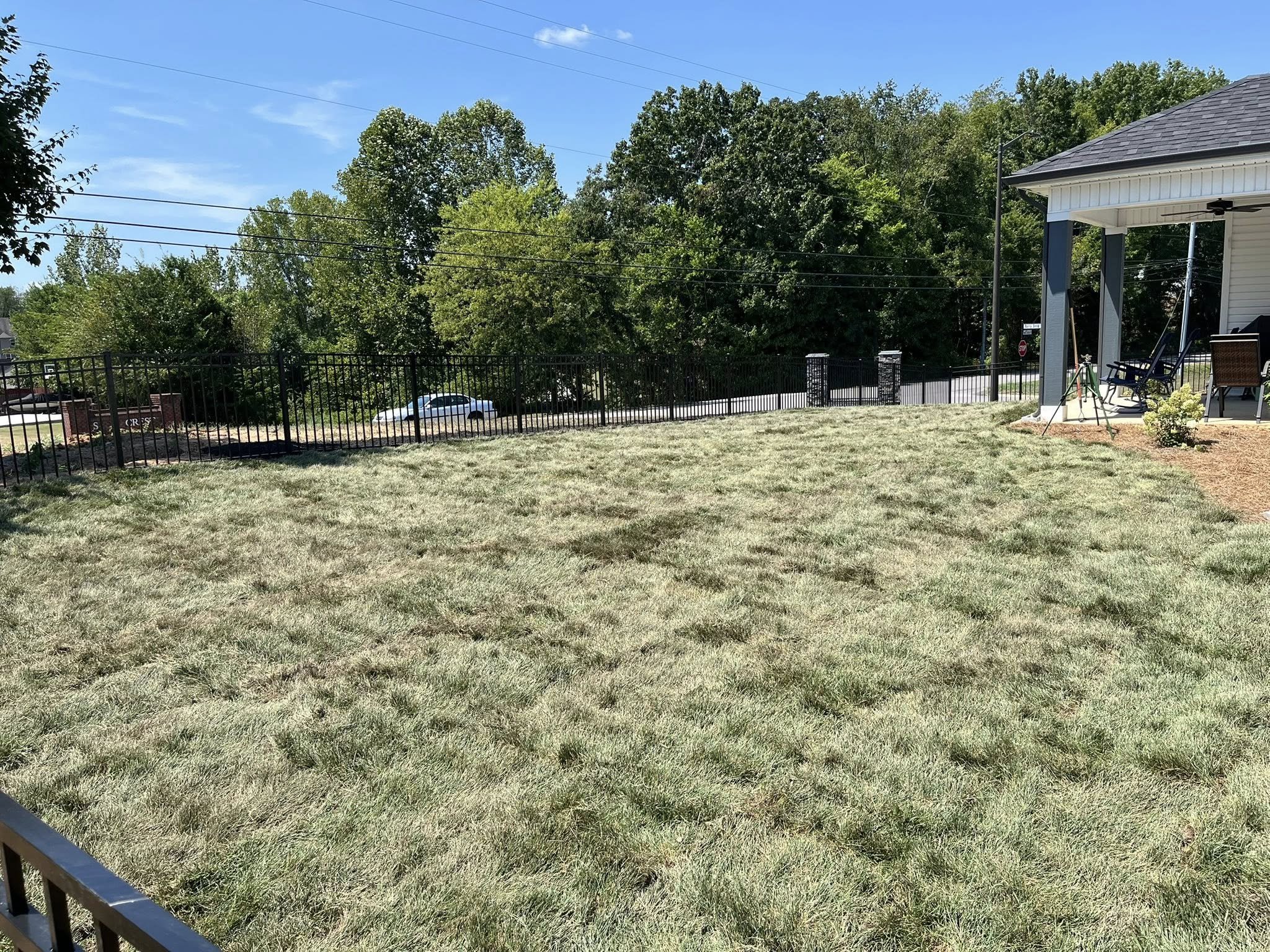 Backyard home with newly installed sod creating a lush green lawn.