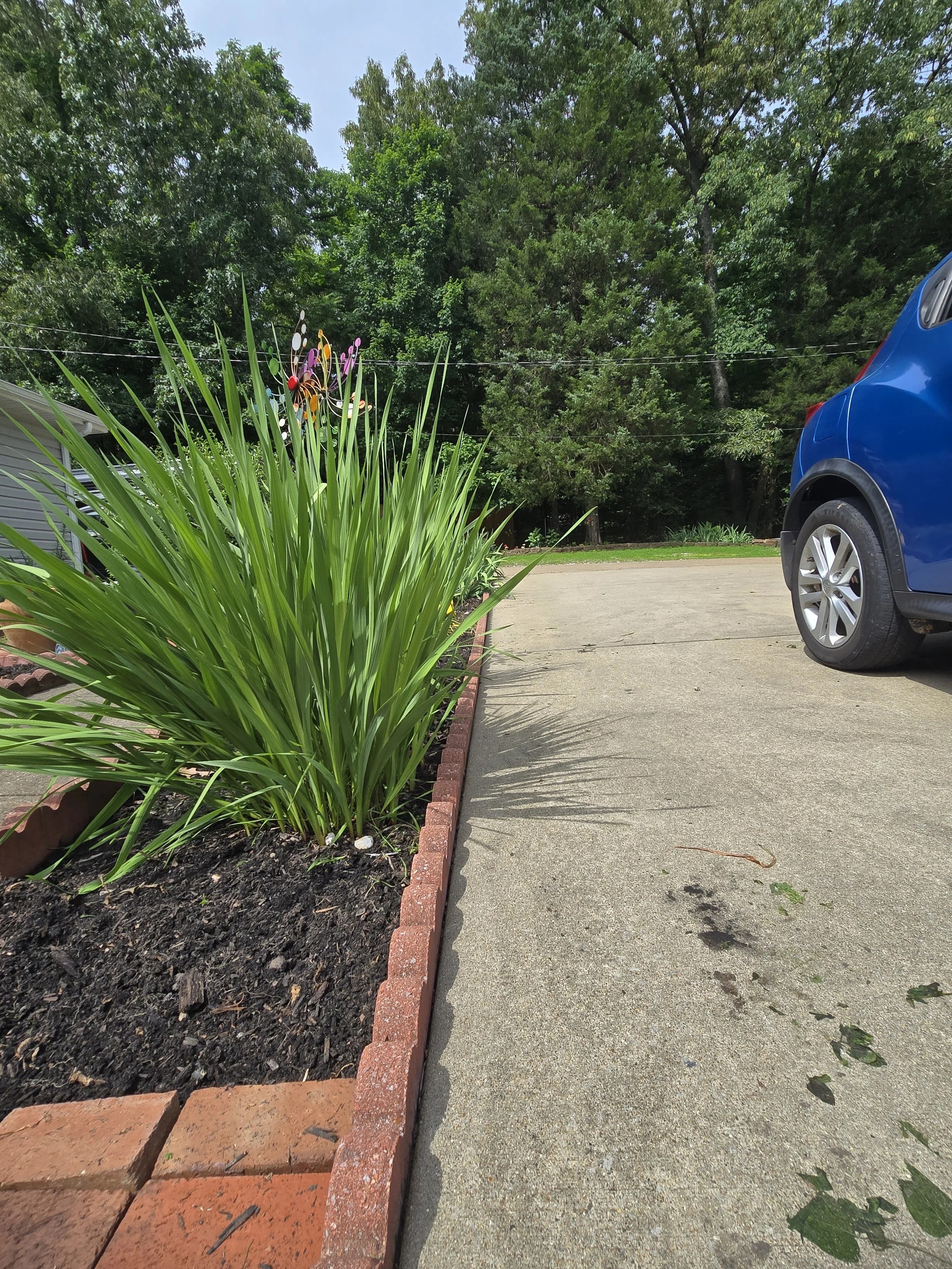 Re-leveled bricks in the front garden bed for a clean, even look.