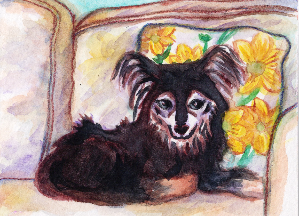 Poe, watercolor and colored pencil on 3.1x4.1 inch cold press watercolor paper, 2025