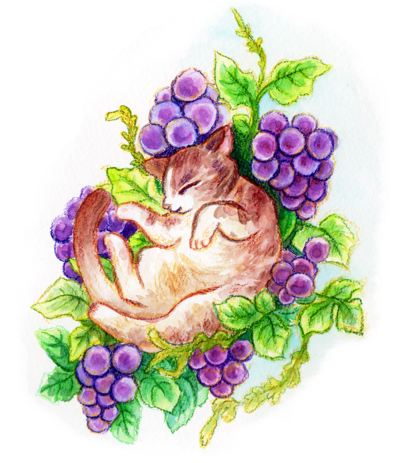 grape cat.png