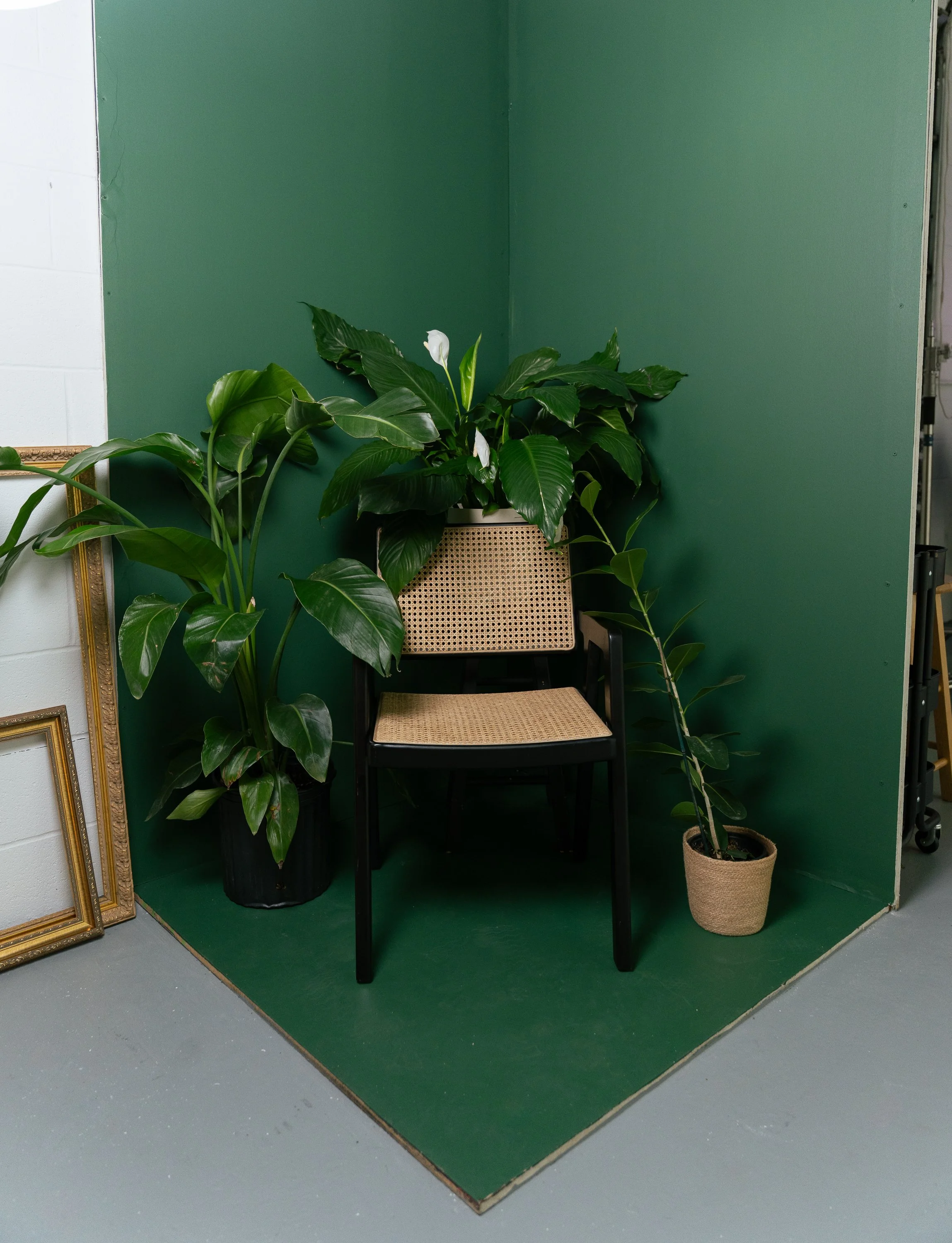 MR creative studio-17.jpg